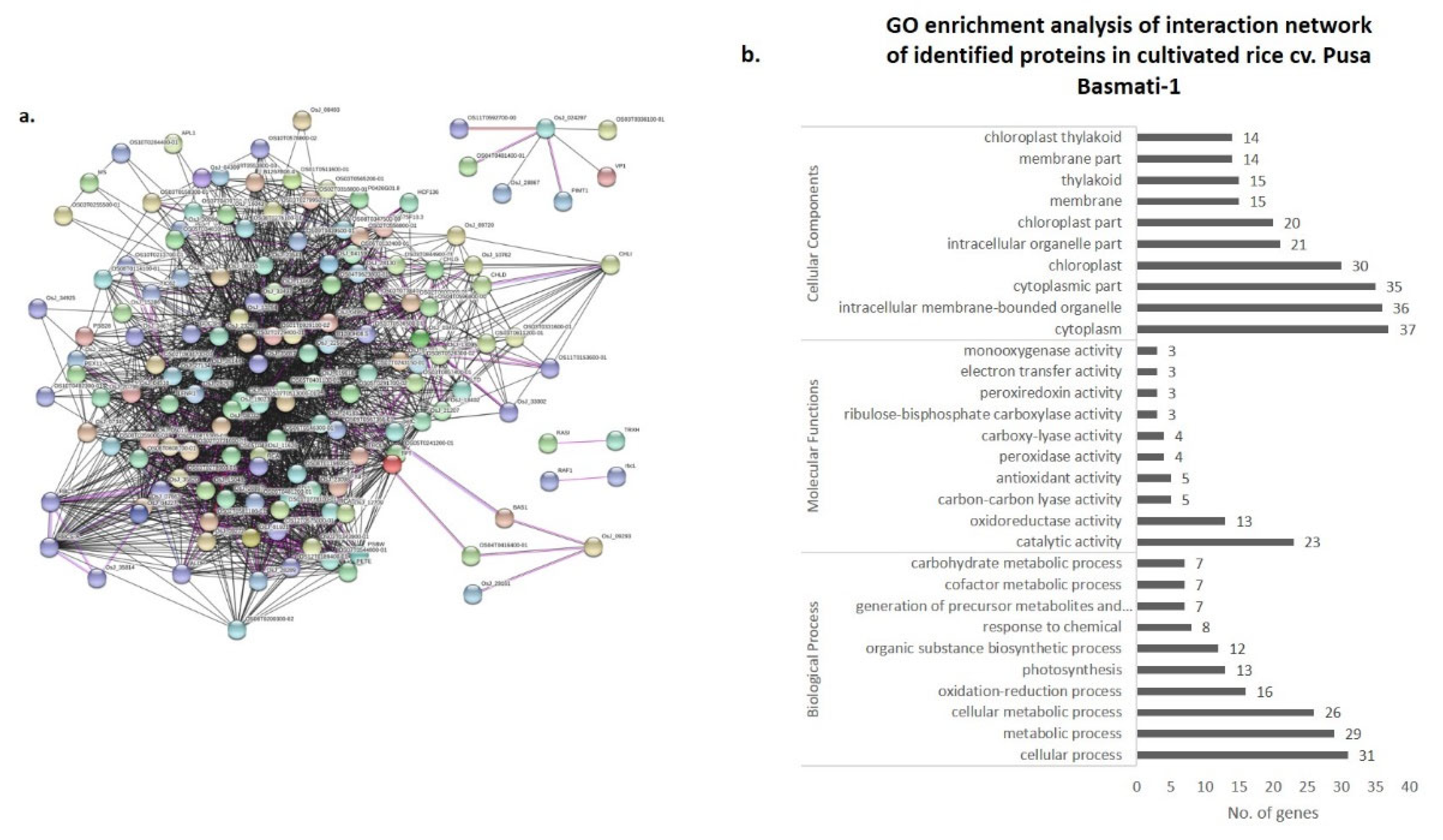 Bioengineering 09 00589 g006