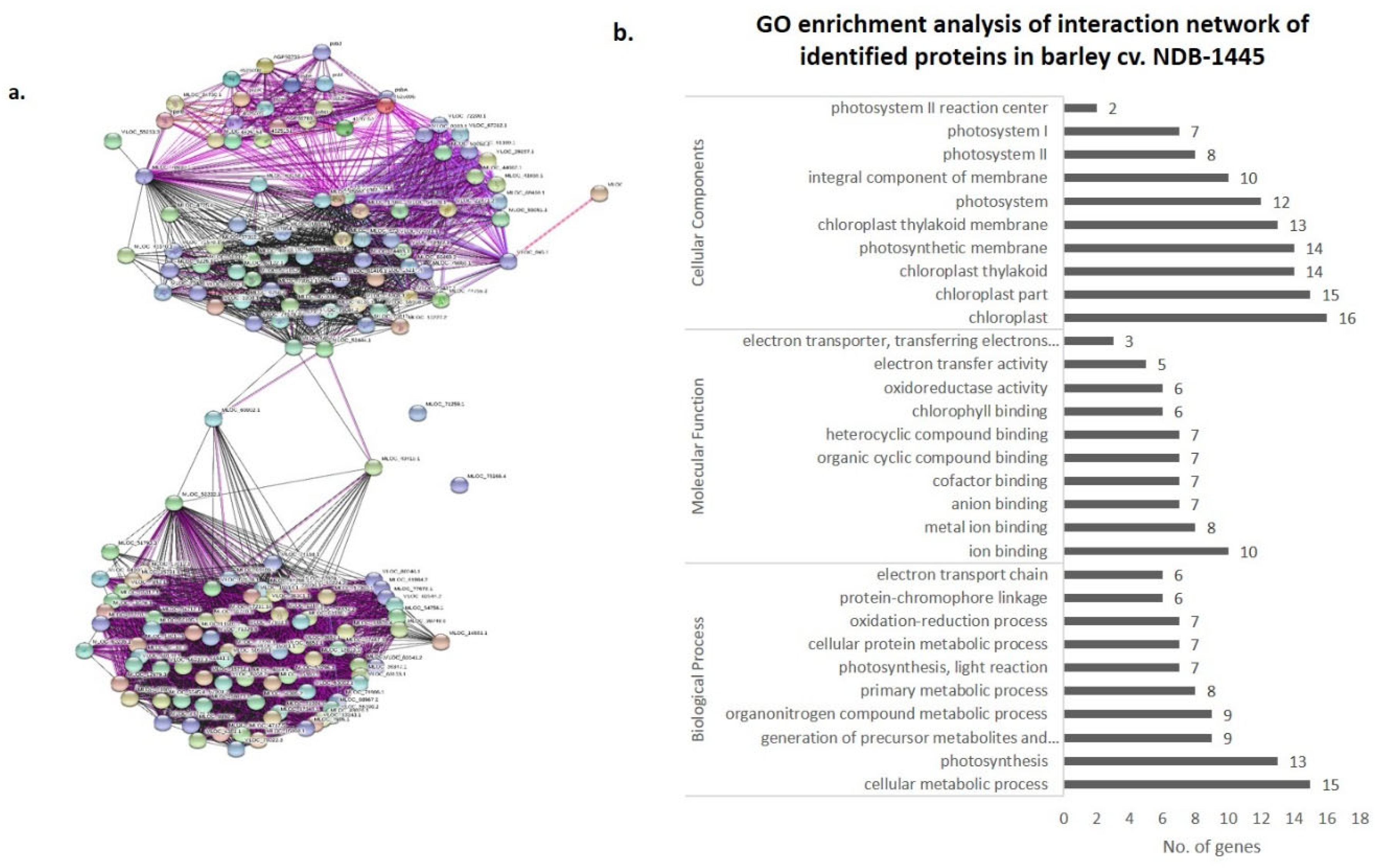 Bioengineering 09 00589 g008