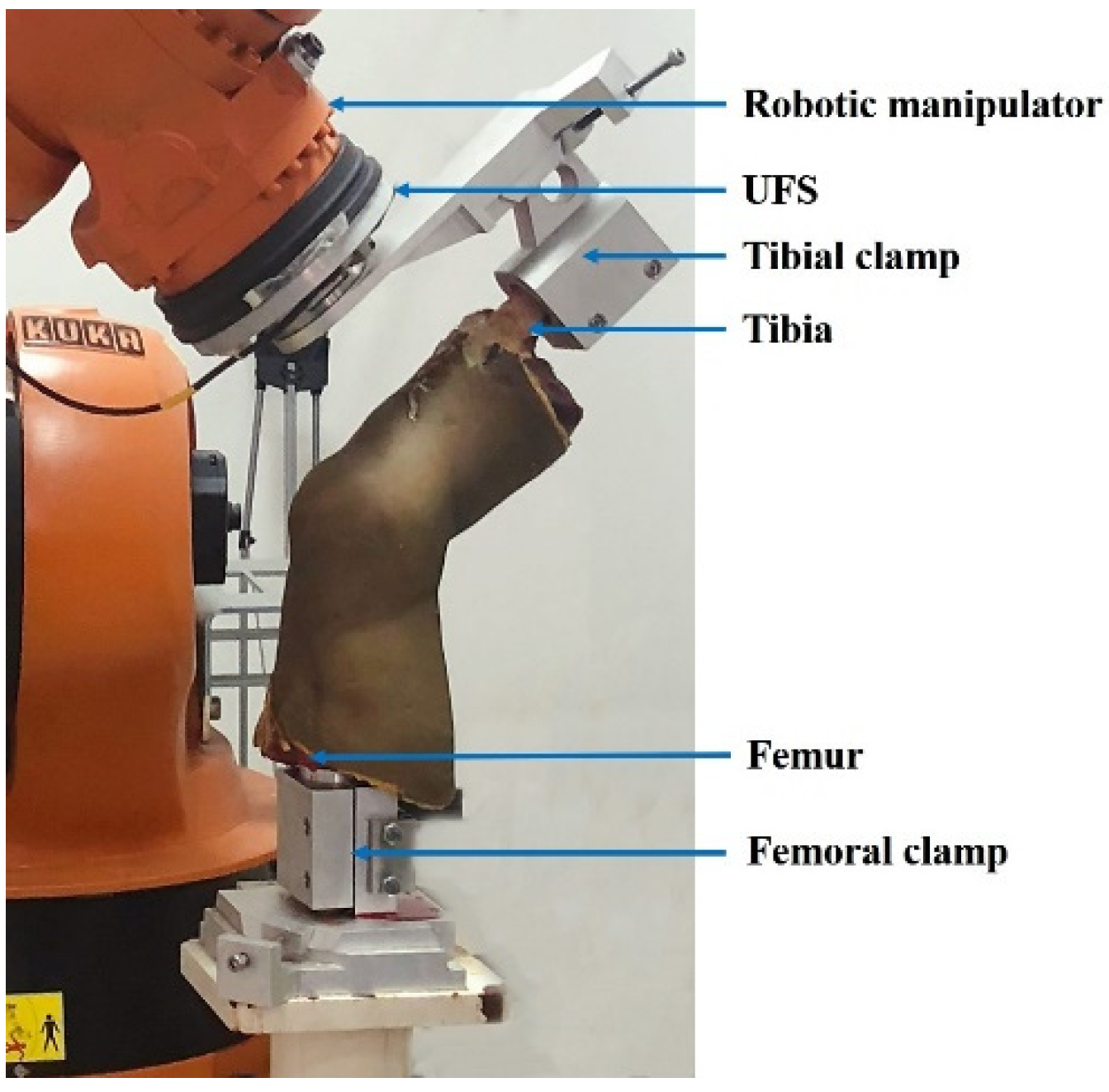 Bioengineering 09 00590 g001 Bioengineering 09 00590 g001