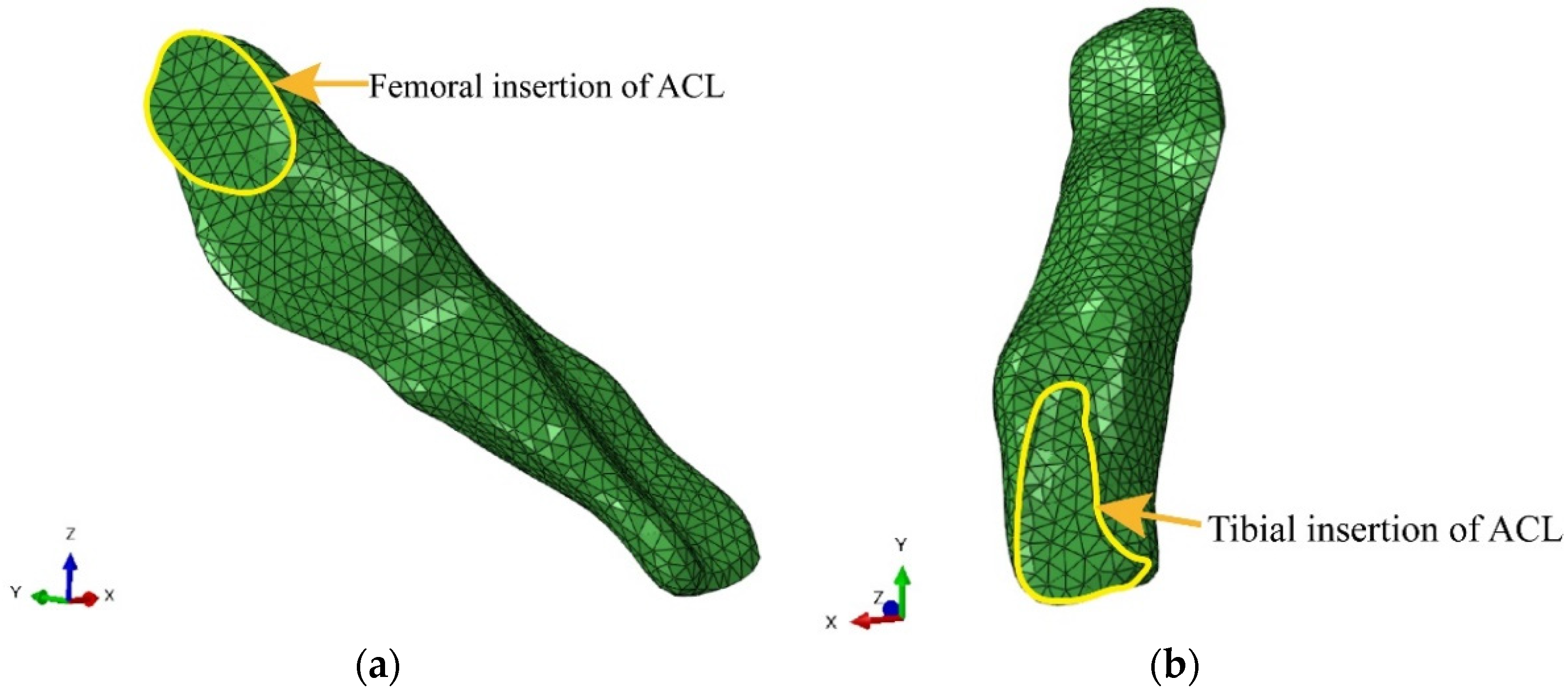 Bioengineering 09 00590 g003 Bioengineering 09 00590 g003