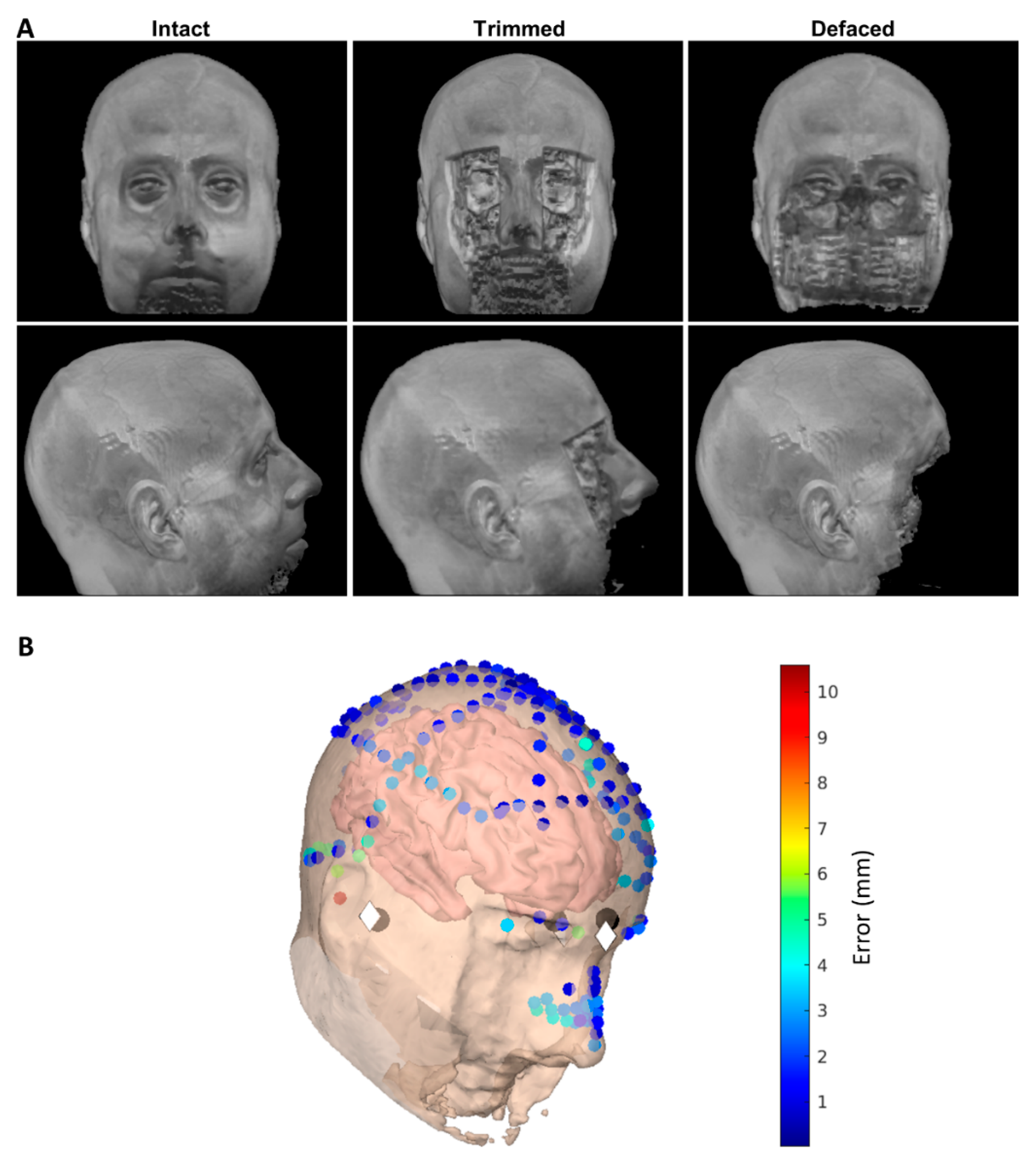 Bioengineering 09 00591 g001