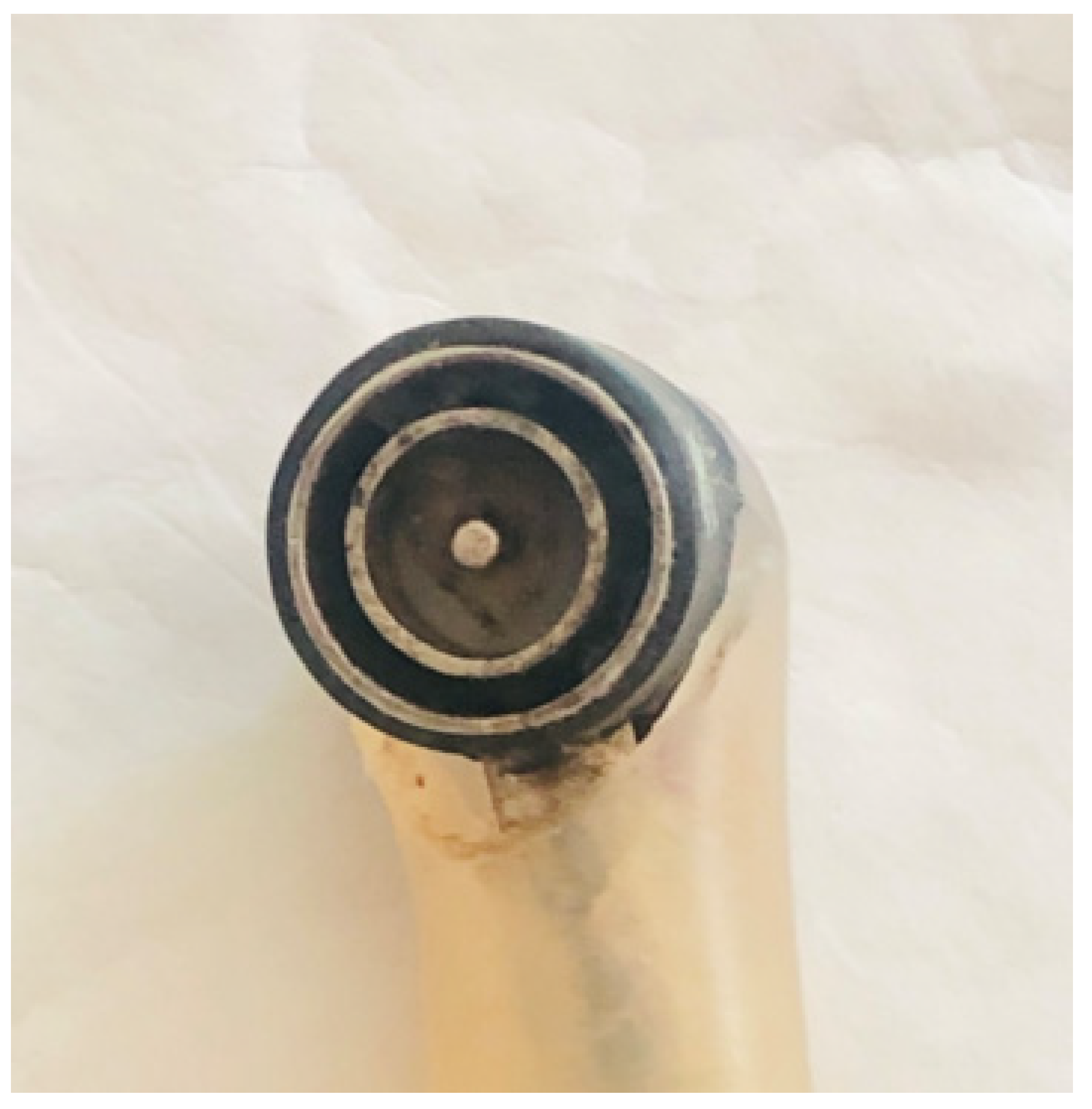 Bioengineering 09 00592 g001