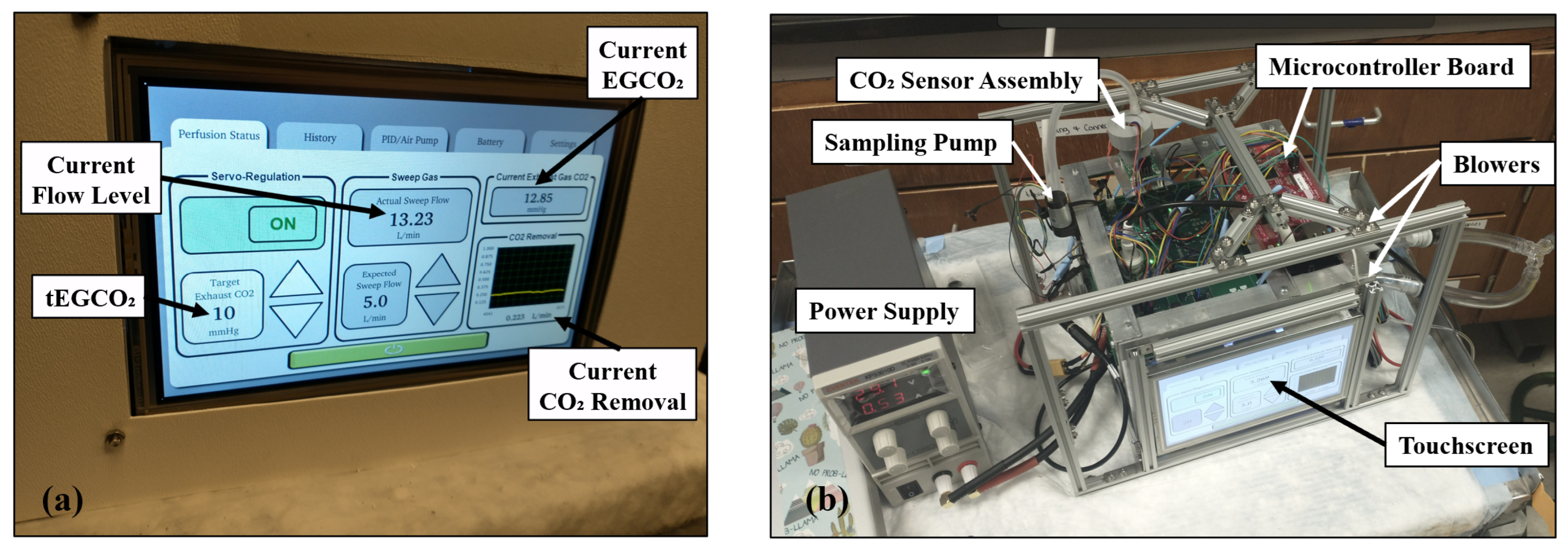 Bioengineering 09 00593 g005