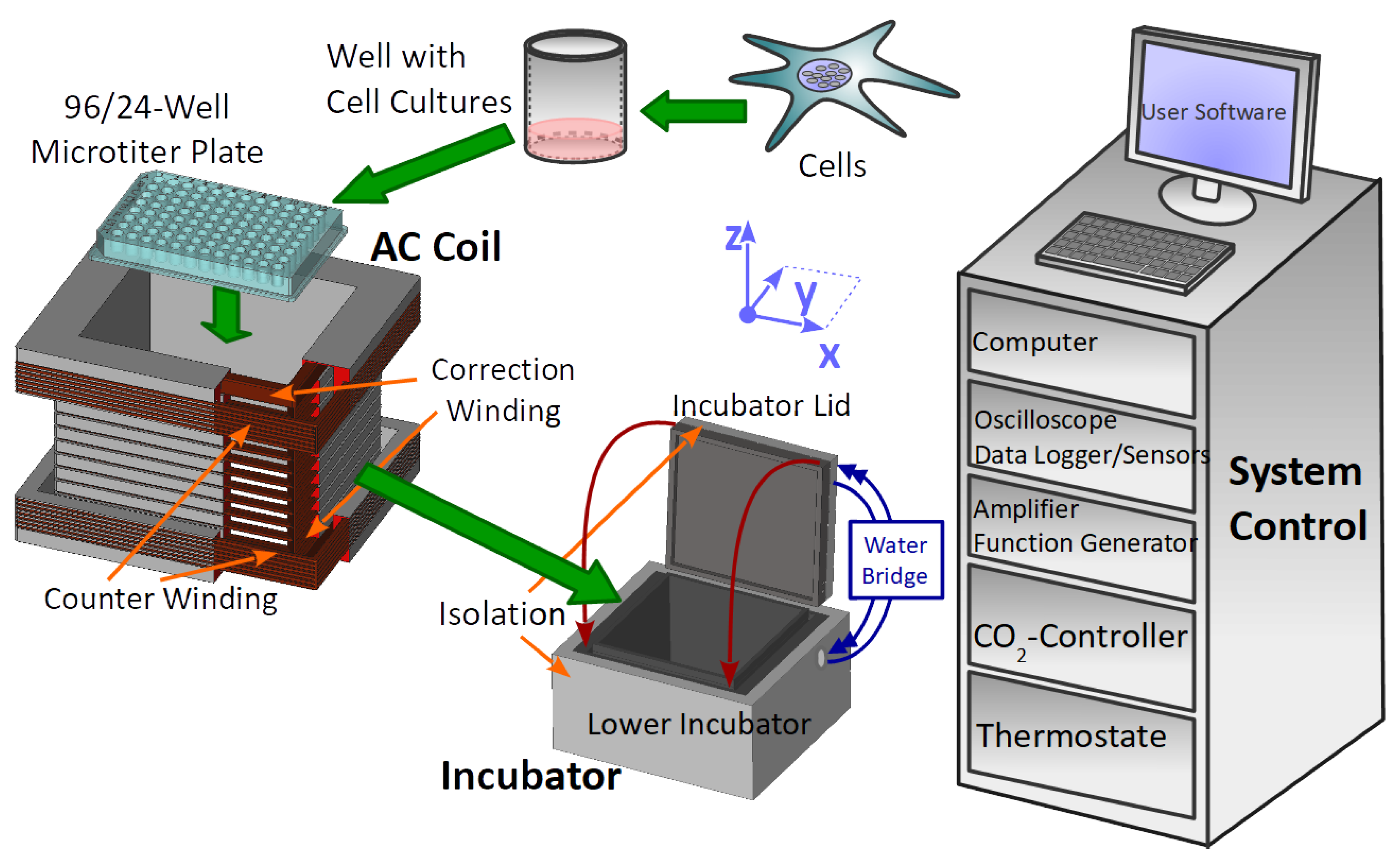 Bioengineering 09 00595 g001 Bioengineering 09 00595 g001
