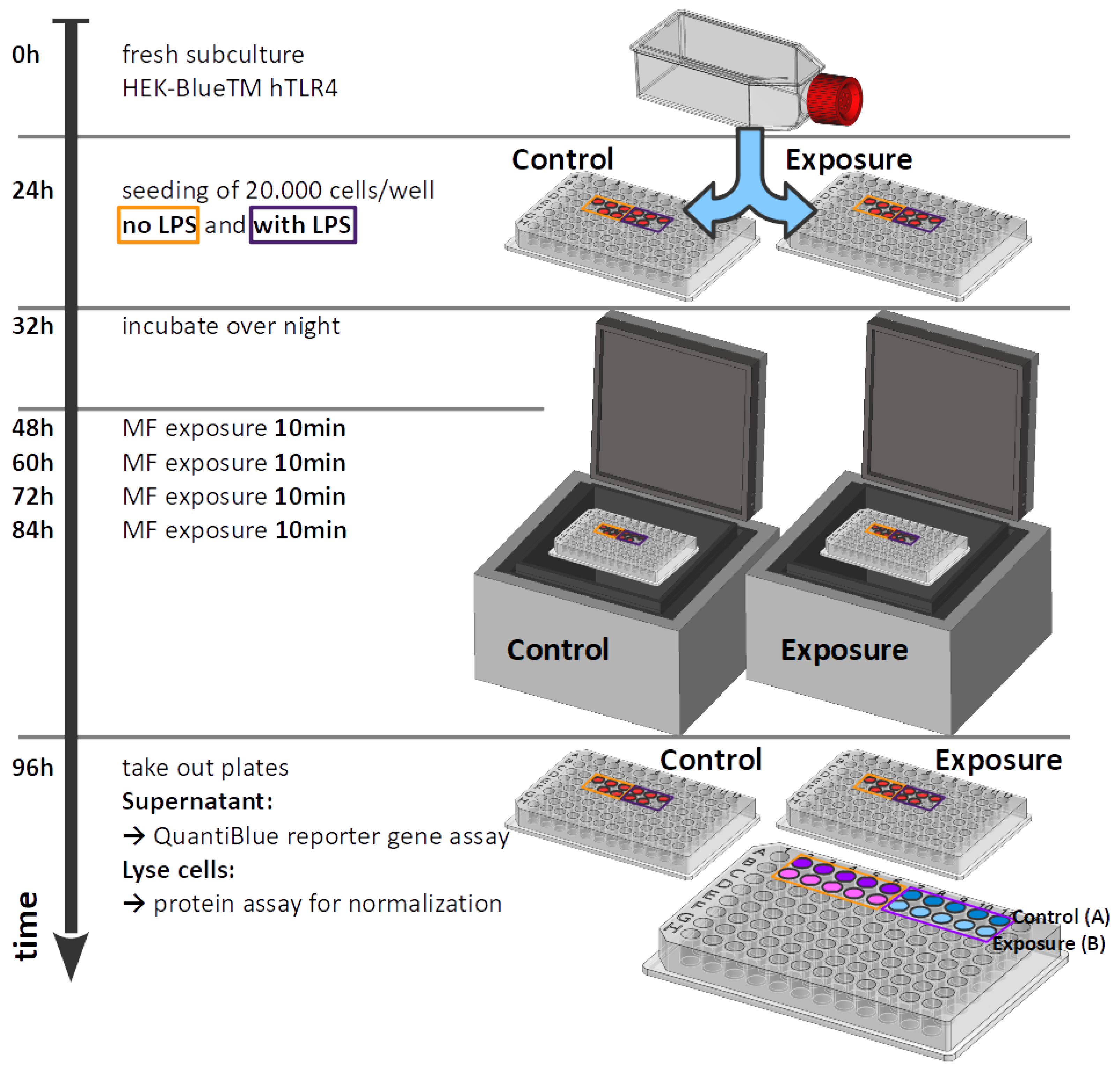 Bioengineering 09 00595 g003 Bioengineering 09 00595 g003