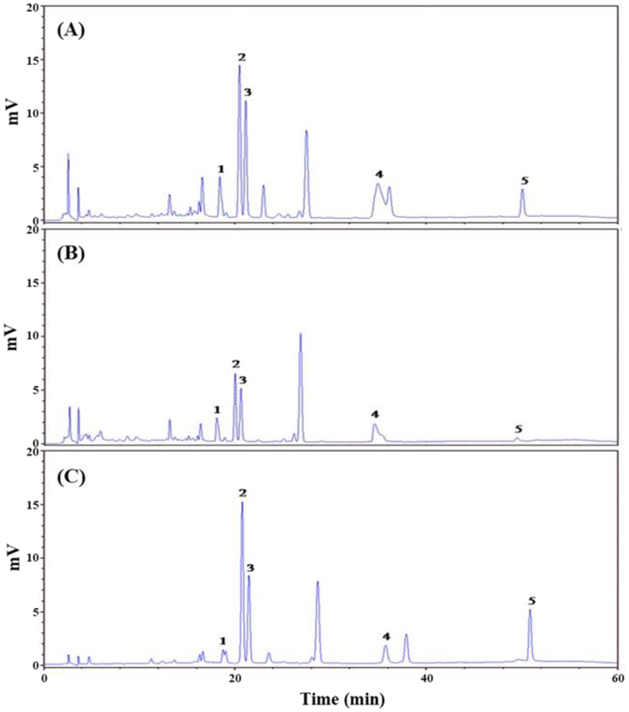 Bioengineering 09 00596 g001