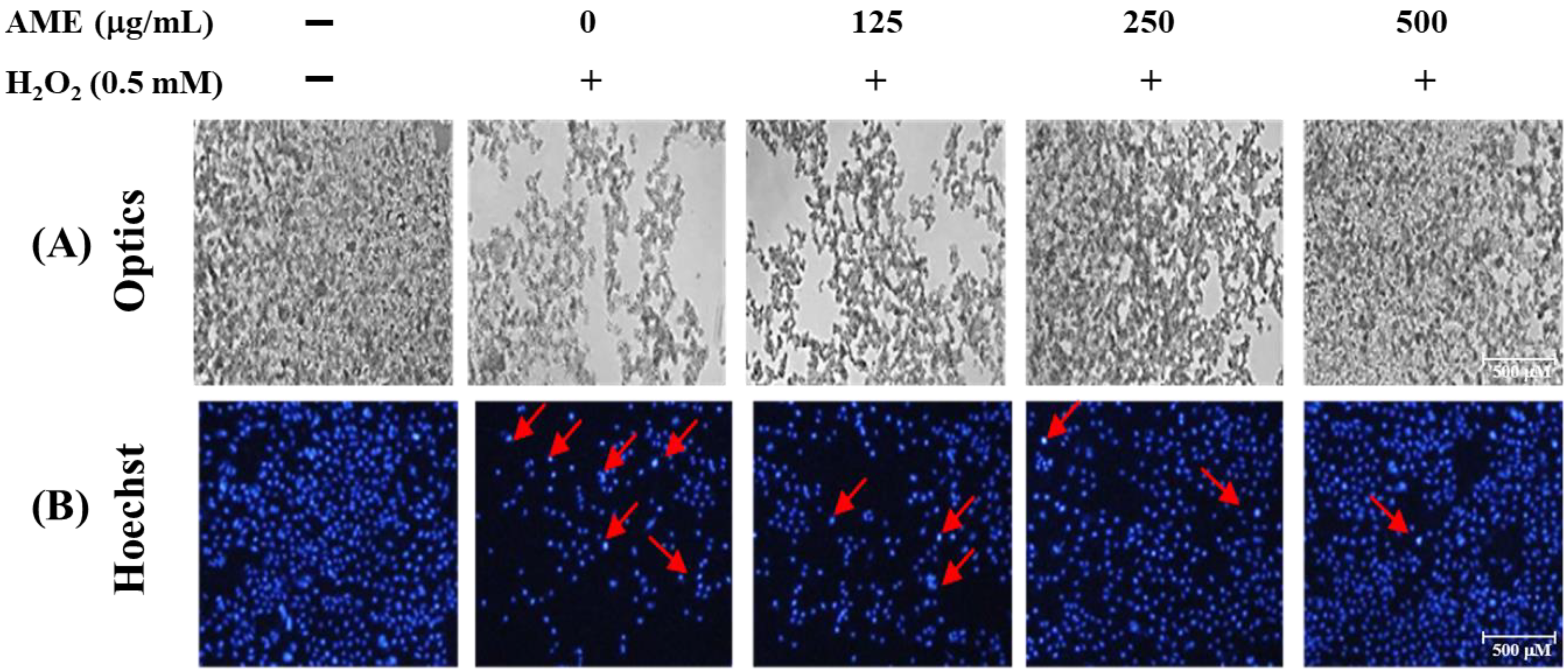 Bioengineering 09 00596 g006