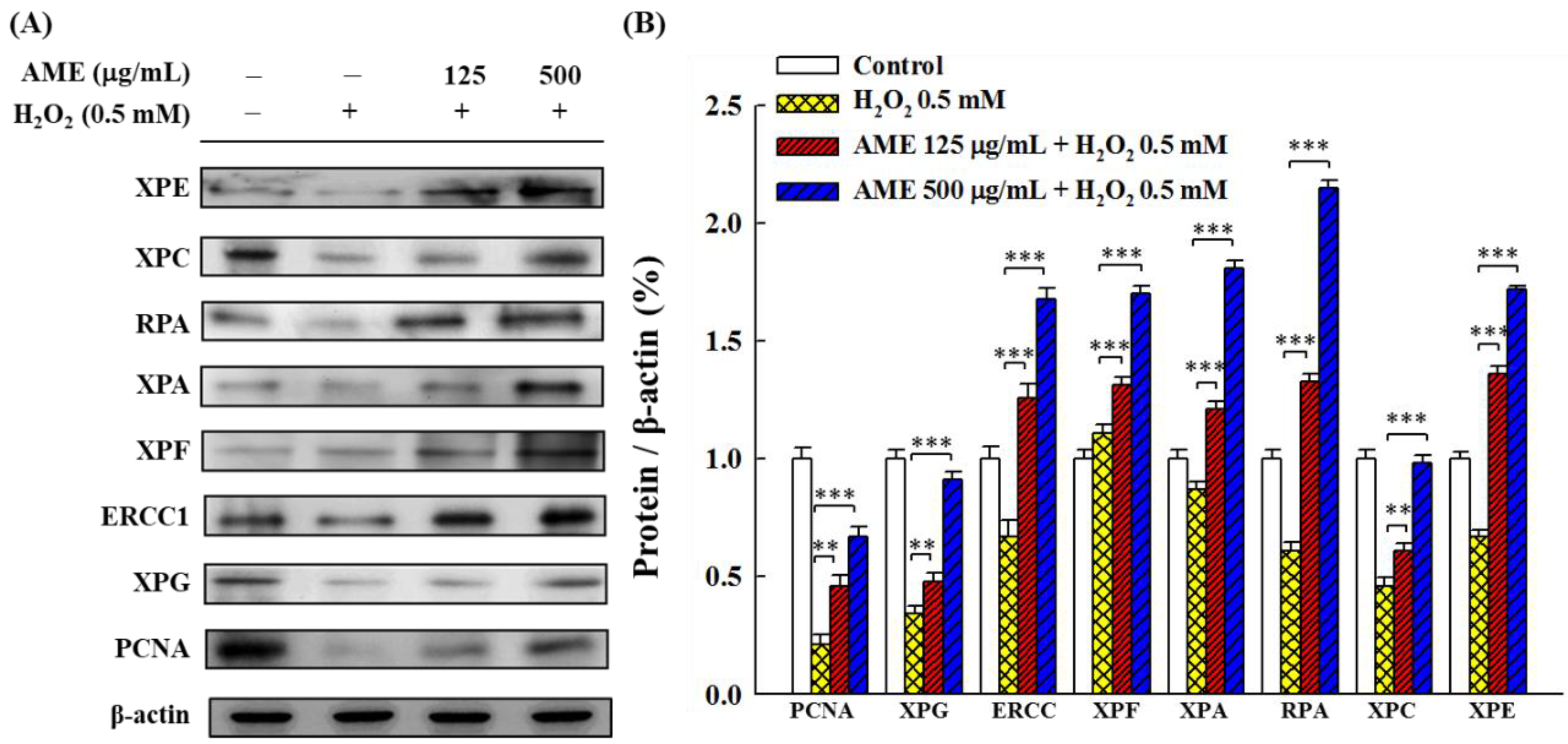 Bioengineering 09 00596 g007