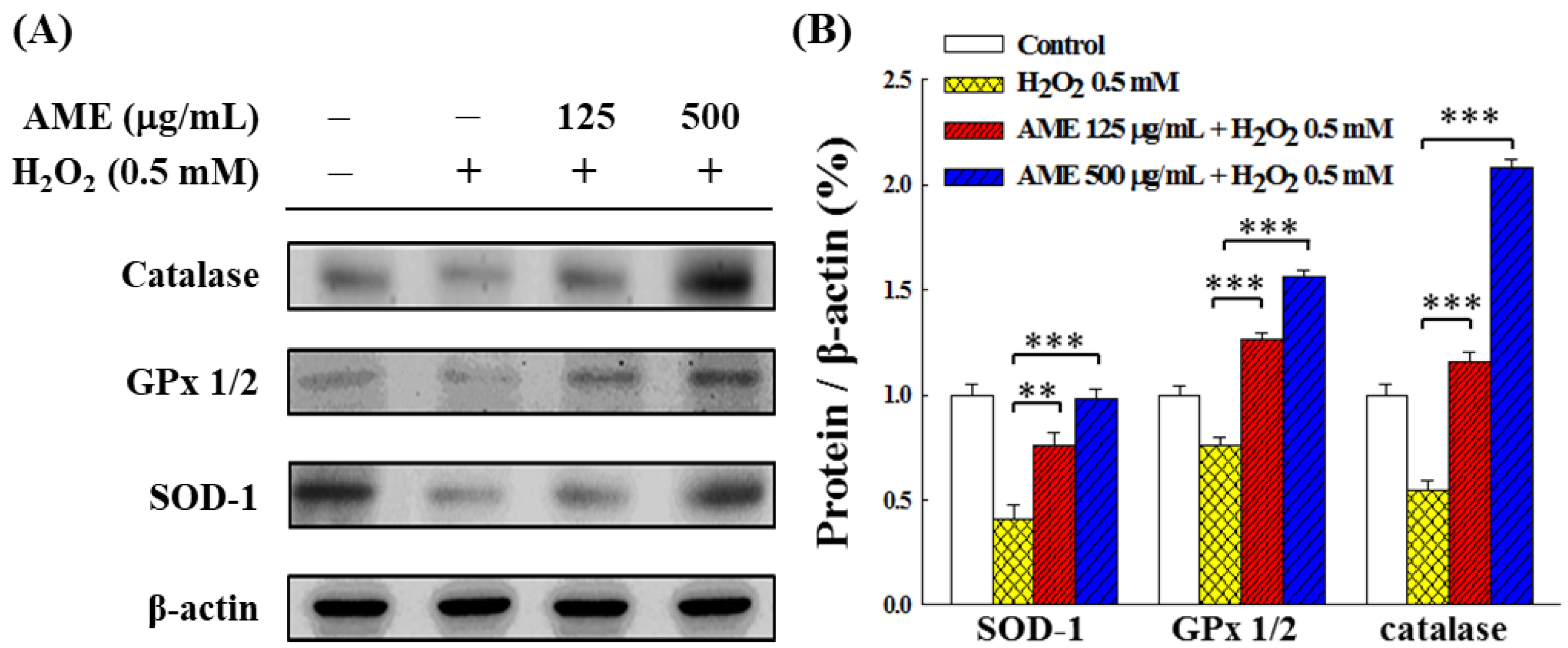 Bioengineering 09 00596 g009