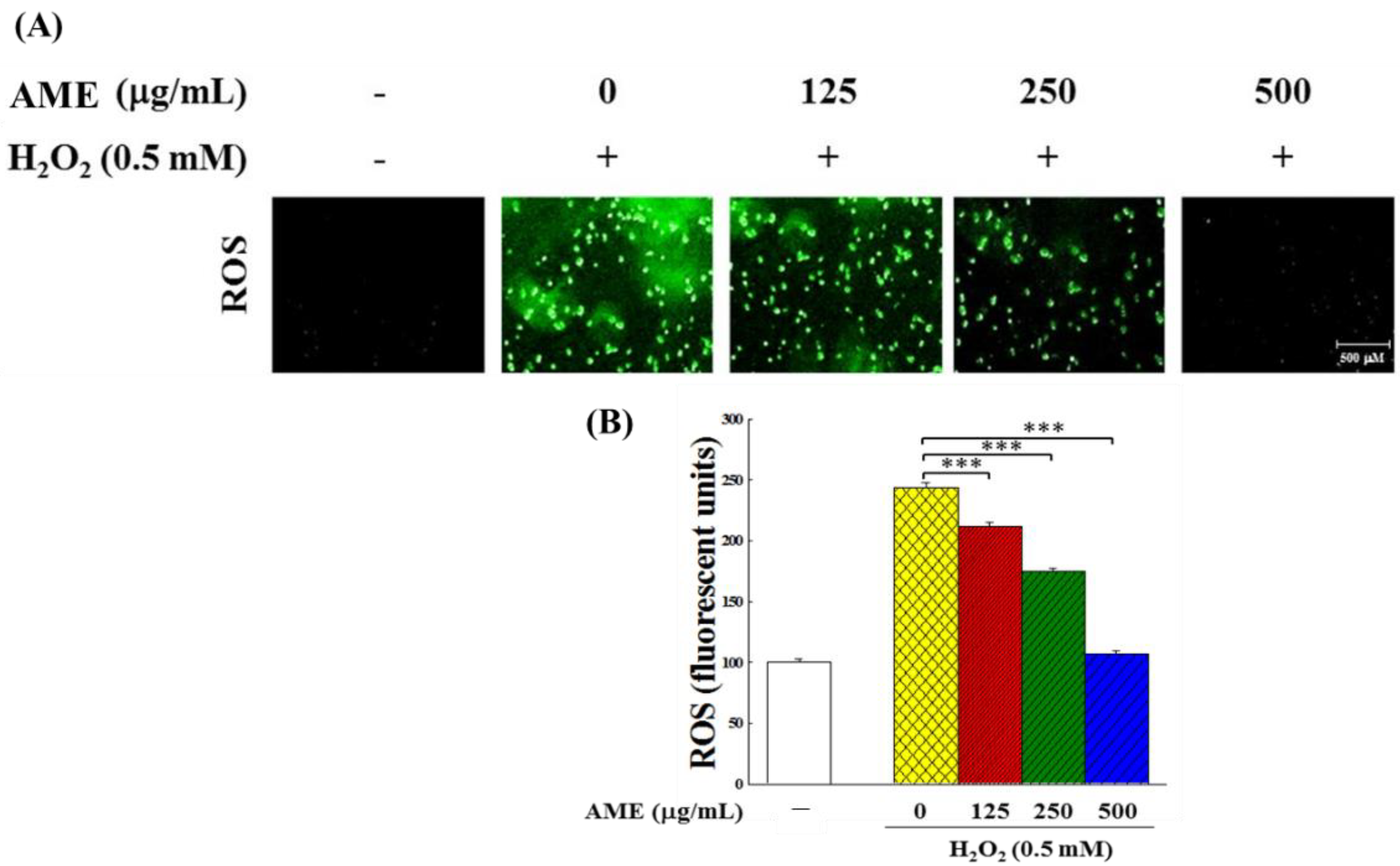 Bioengineering 09 00596 g010