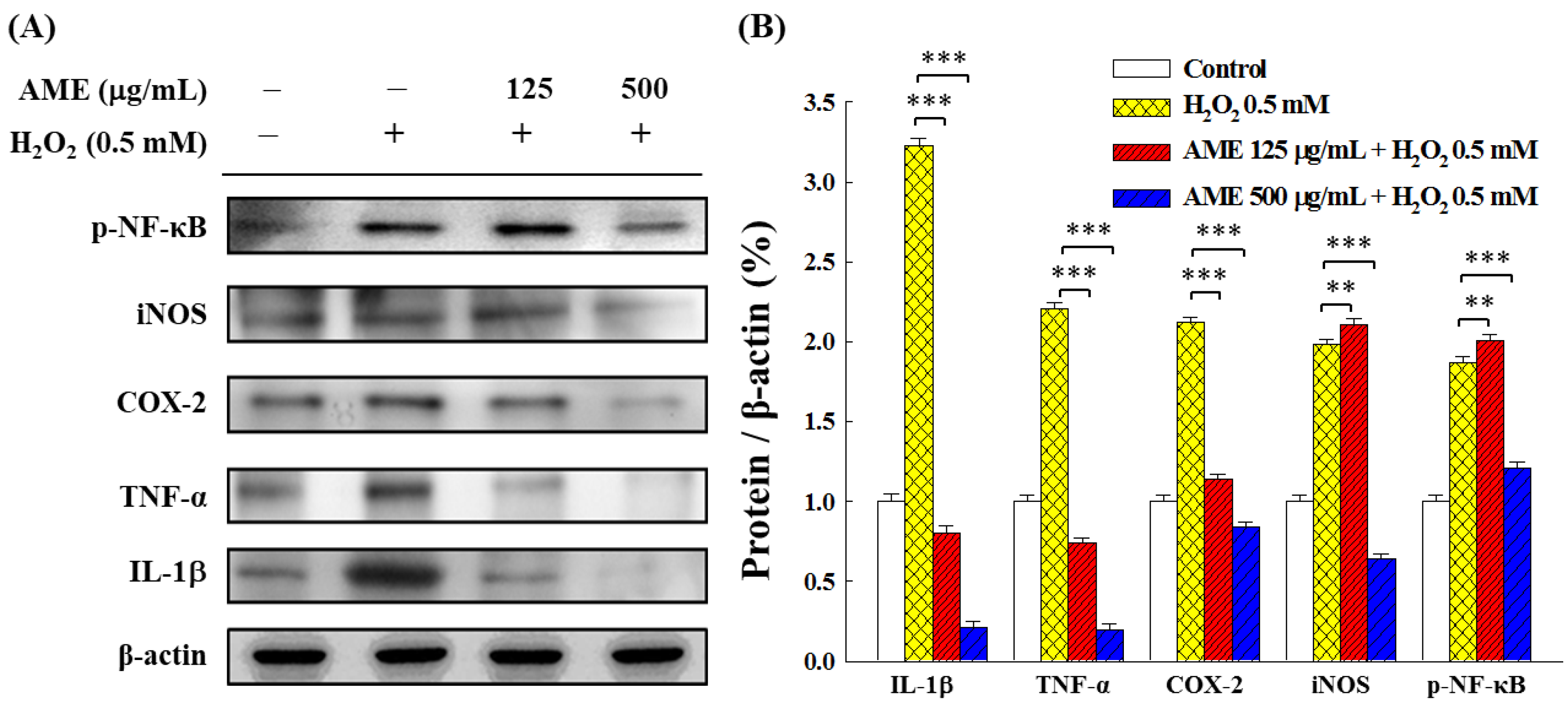 Bioengineering 09 00596 g011