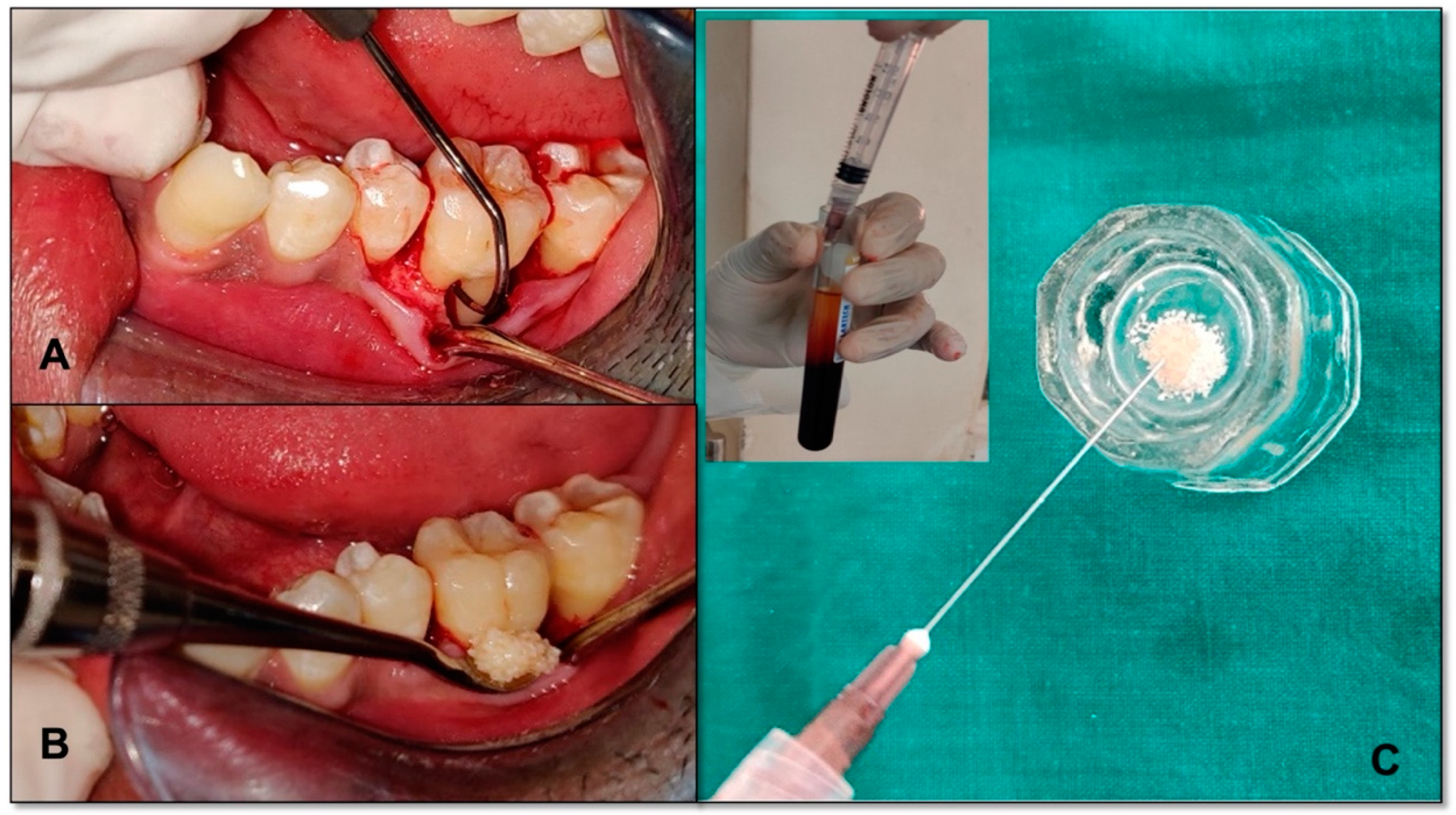 Bioengineering 09 00602 g001