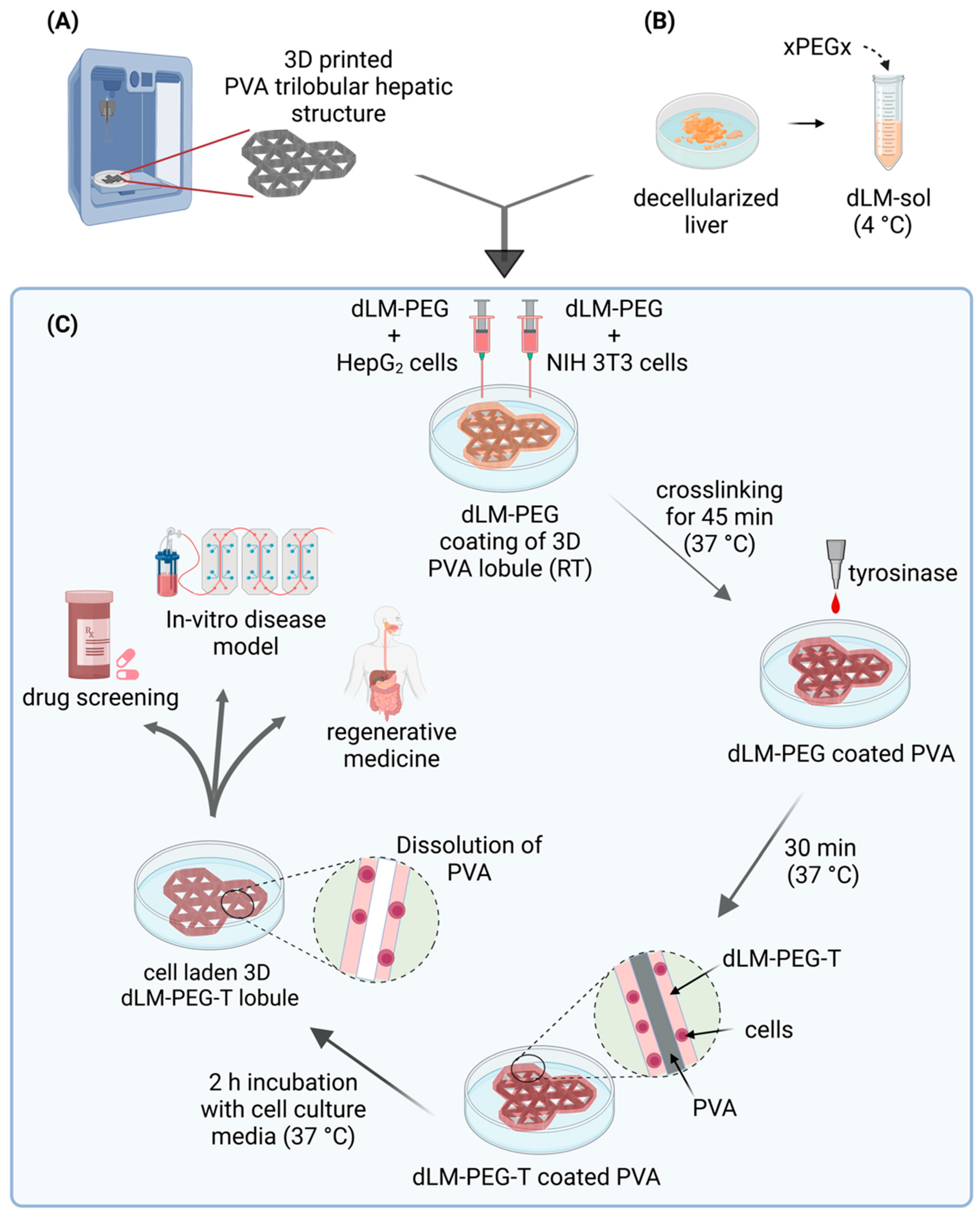 Bioengineering 09 00603 g001 Bioengineering 09 00603 g001