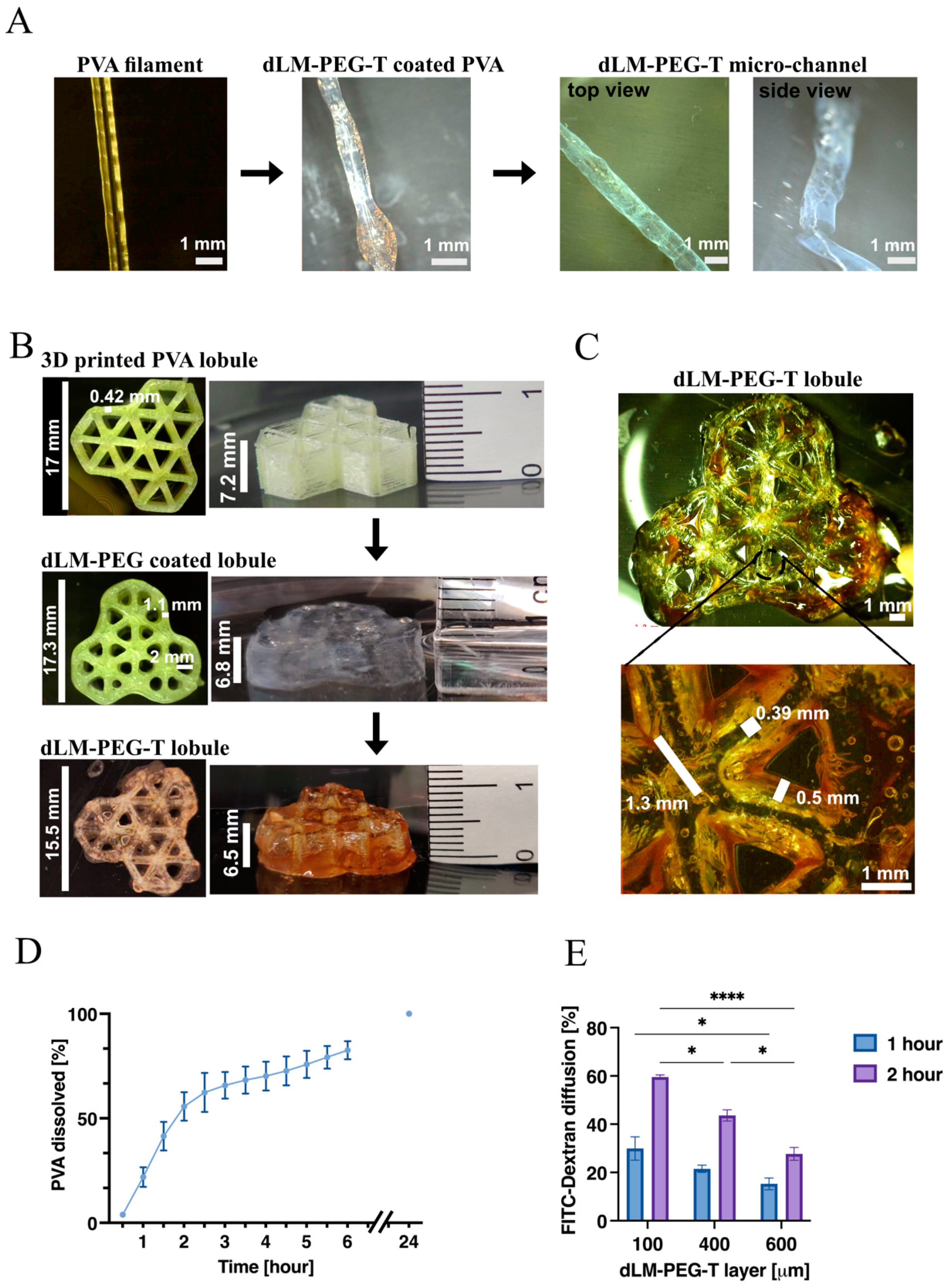 Bioengineering 09 00603 g003 Bioengineering 09 00603 g003