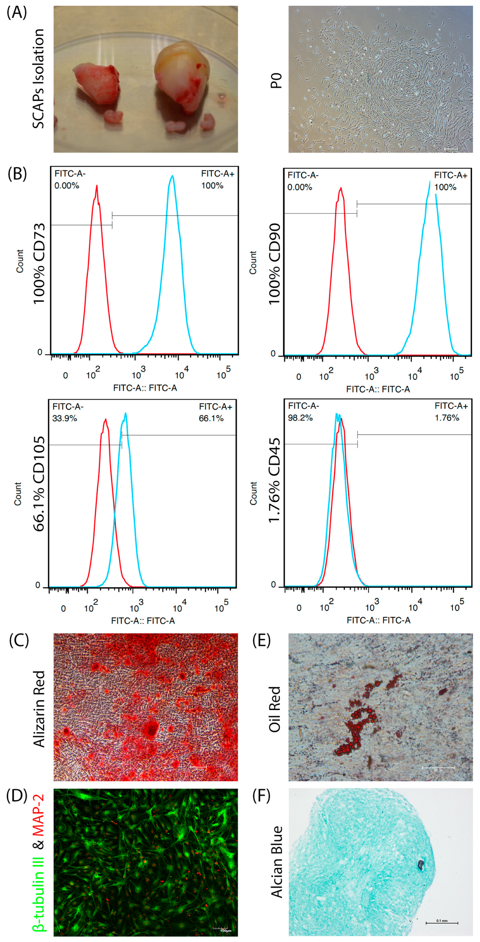 Bioengineering 09 00604 g001