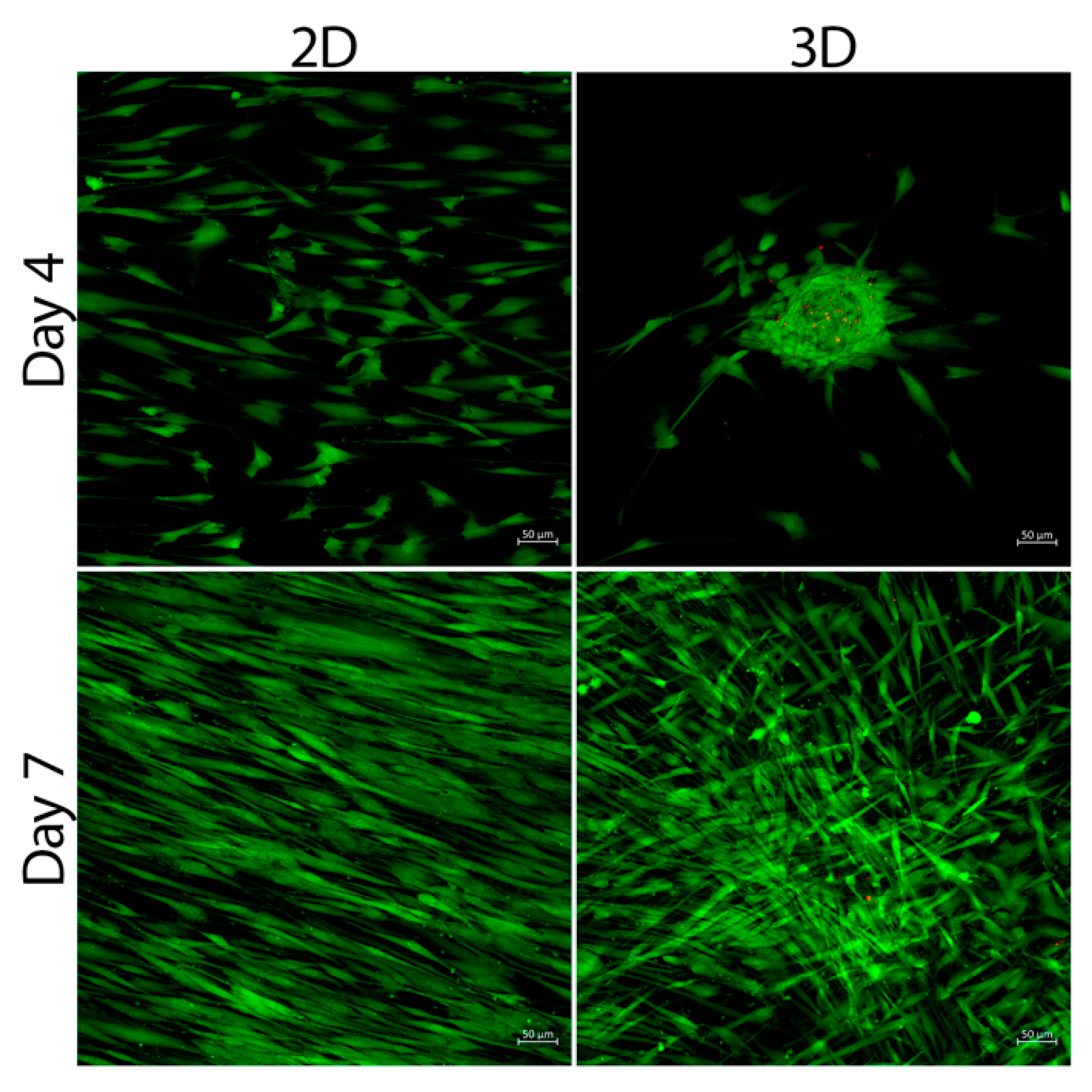 Bioengineering 09 00604 g002