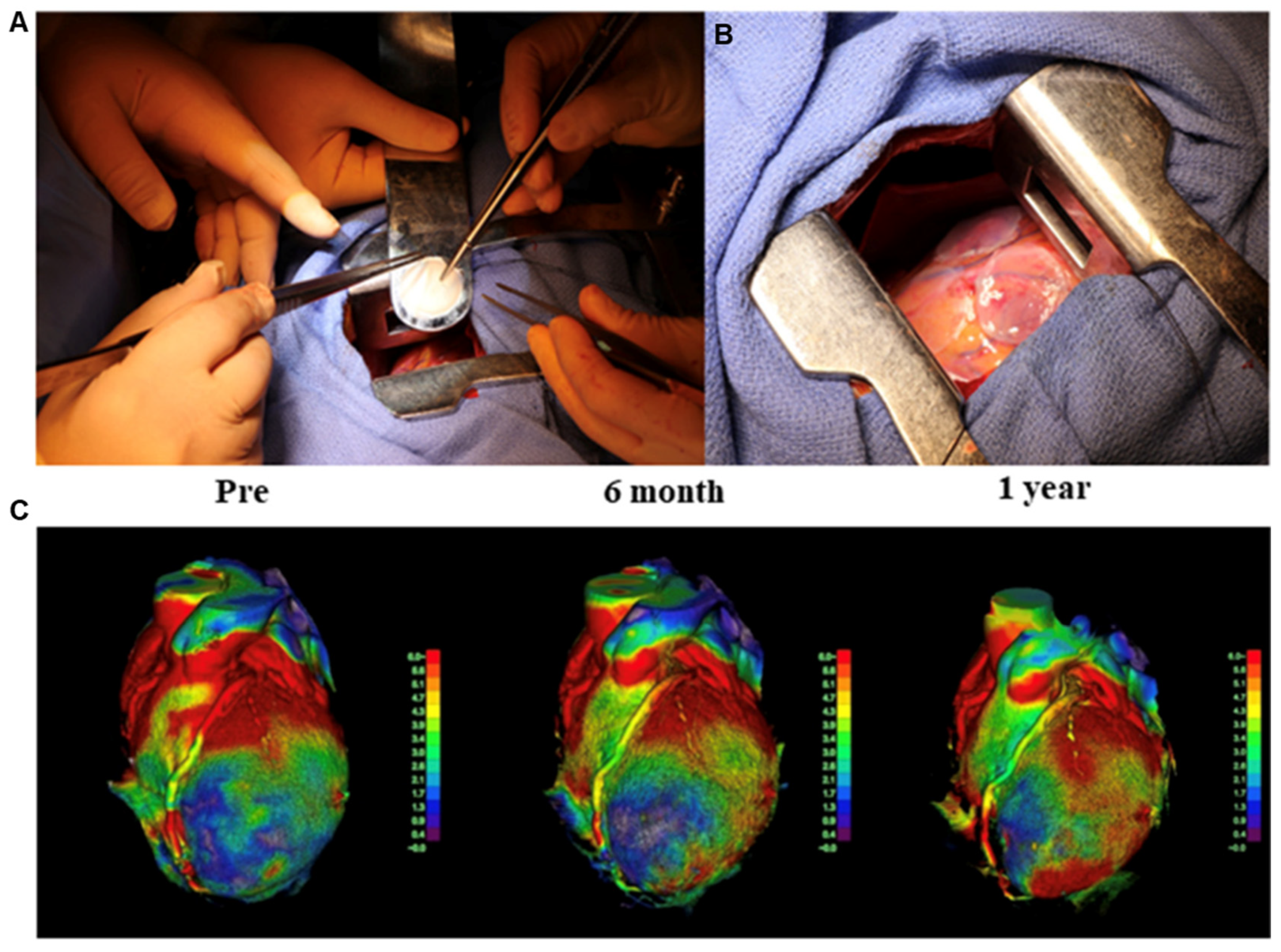 Bioengineering 09 00605 g003 Bioengineering 09 00605 g003