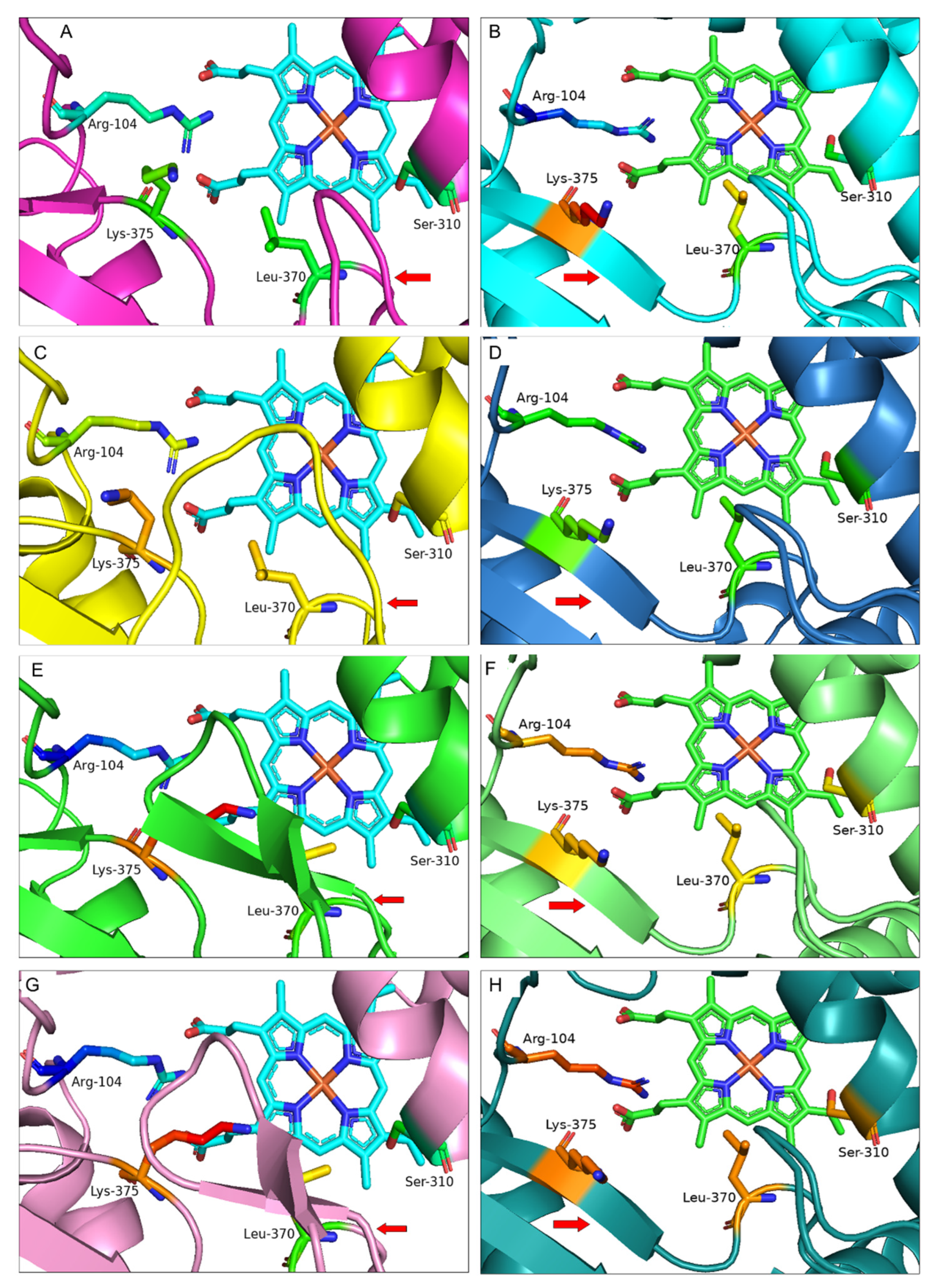 Bioengineering 09 00609 g004 Bioengineering 09 00609 g004