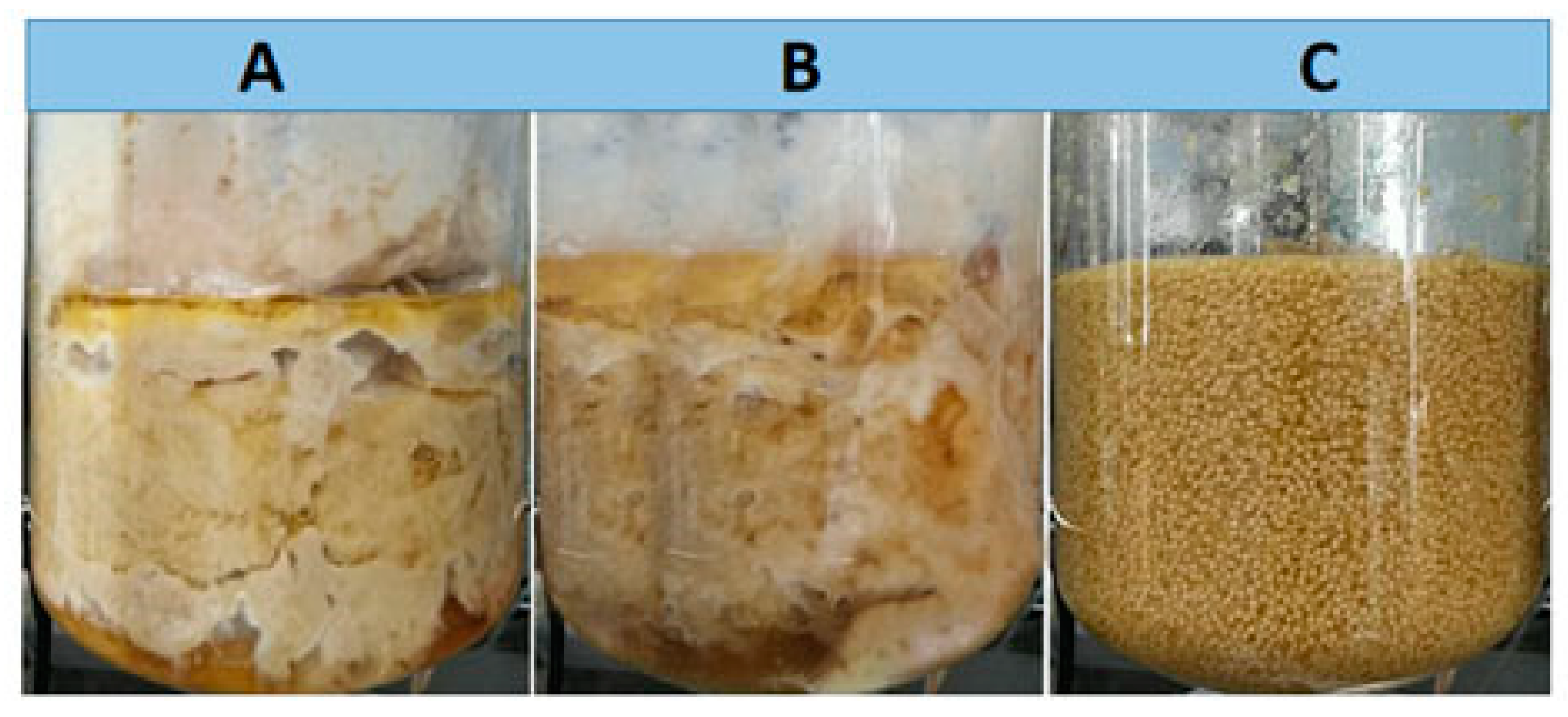 Bioengineering 09 00610 g002