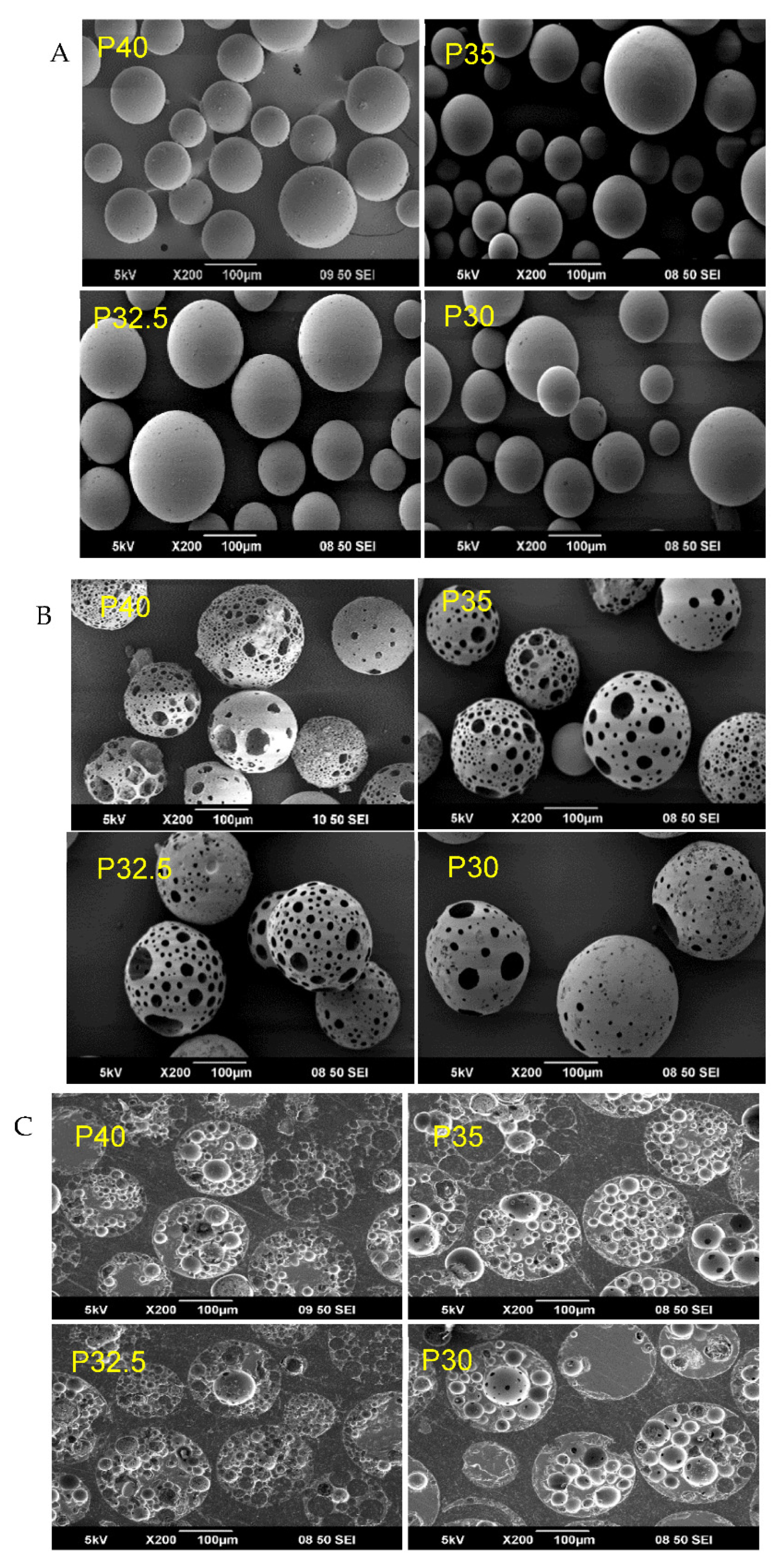 Bioengineering 09 00611 g001