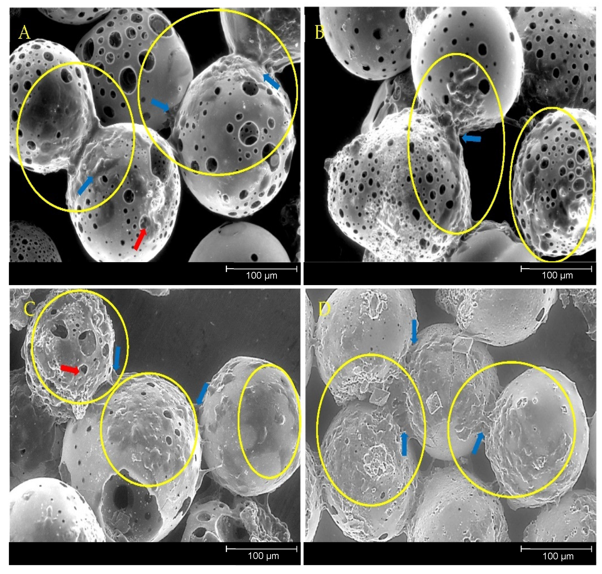 Bioengineering 09 00611 g010