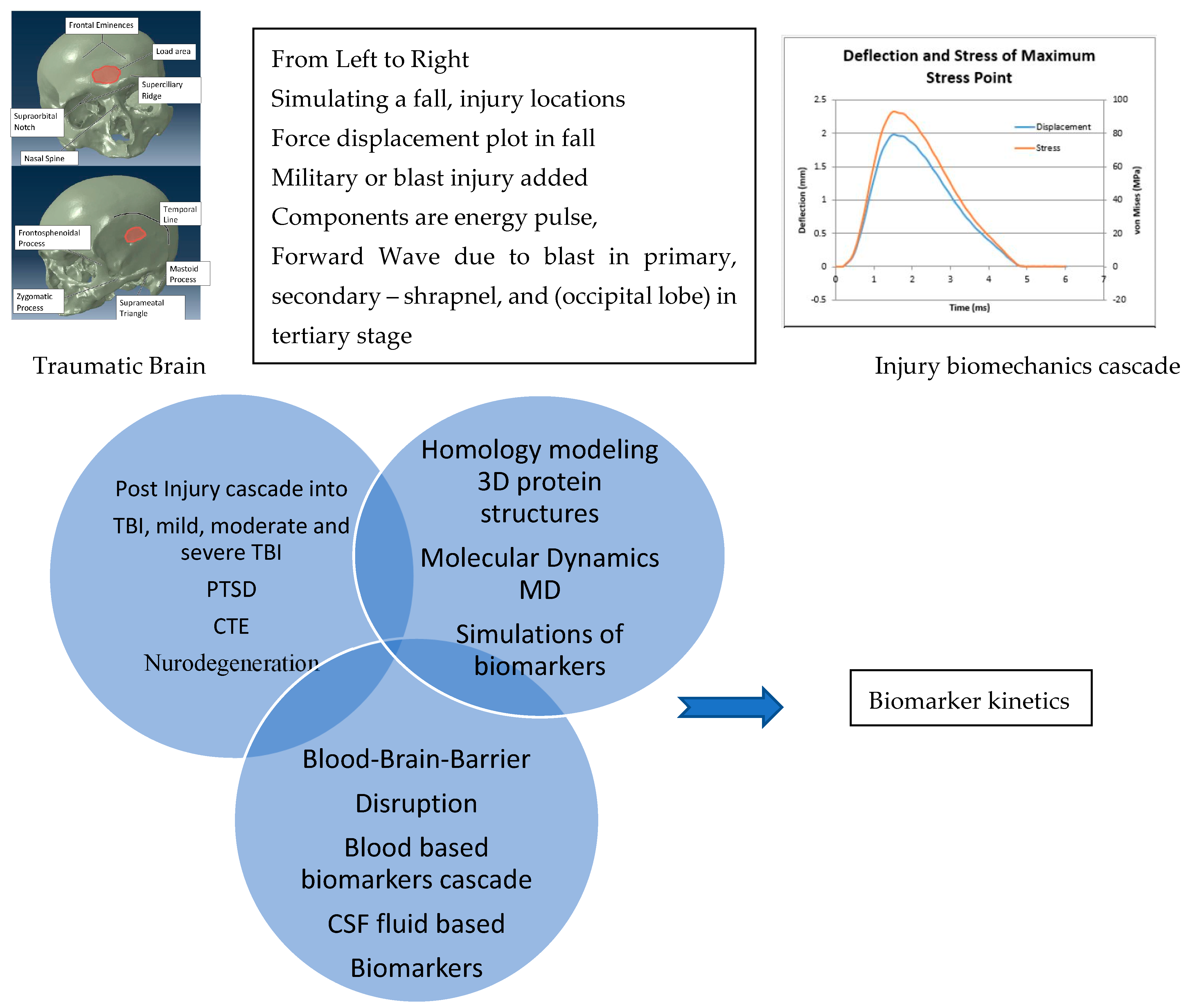 Amazon | Hypothermia for Acute Brain Damage: Pathomechanism