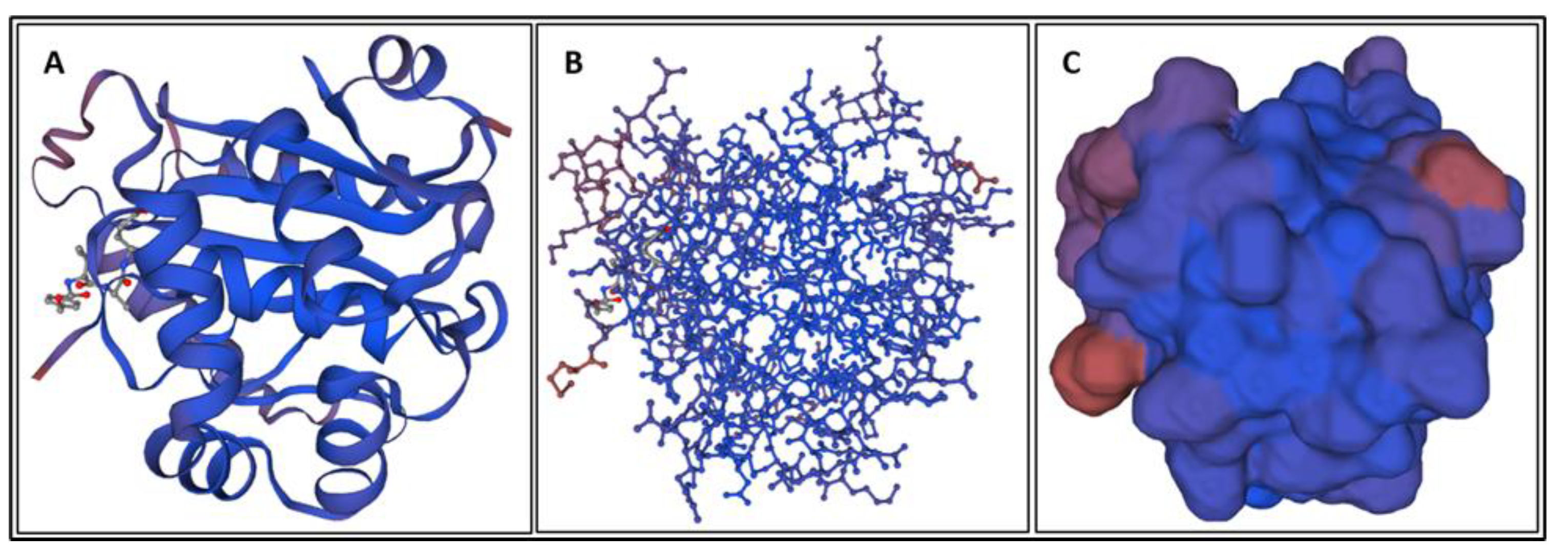 Bioengineering 09 00612 g003