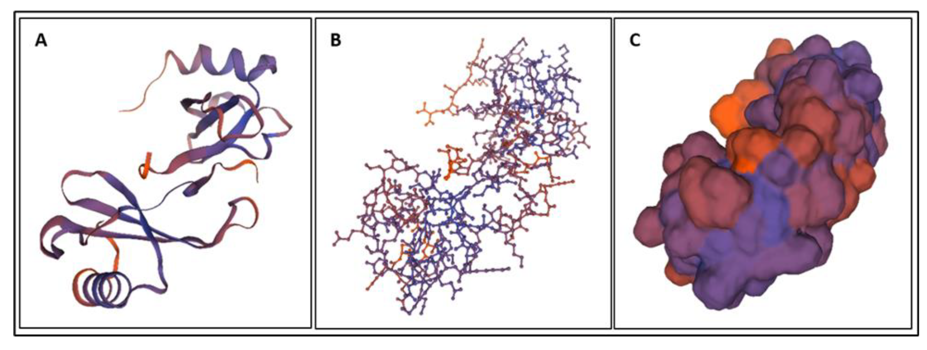 Bioengineering 09 00612 g013