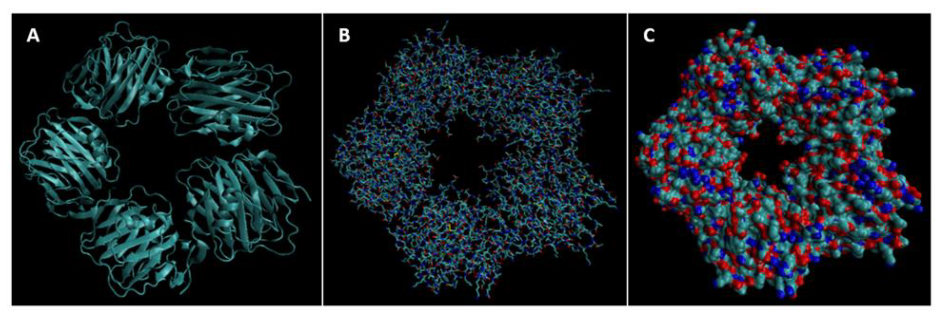 Bioengineering 09 00612 g016