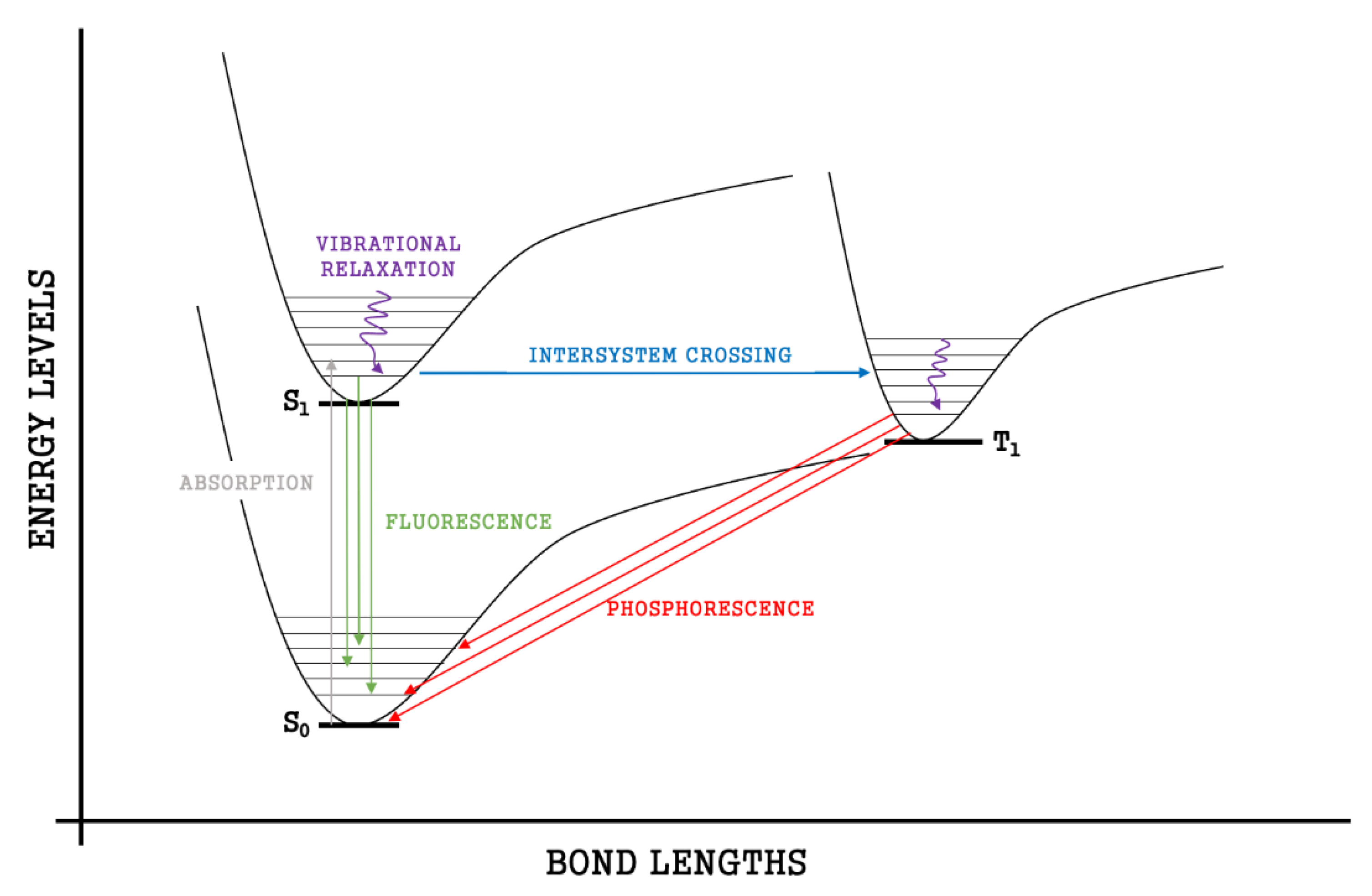 Bioengineering 09 00612 g023