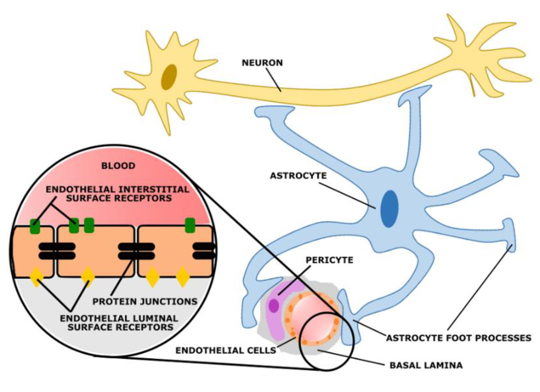 Bioengineering 09 00612 g035