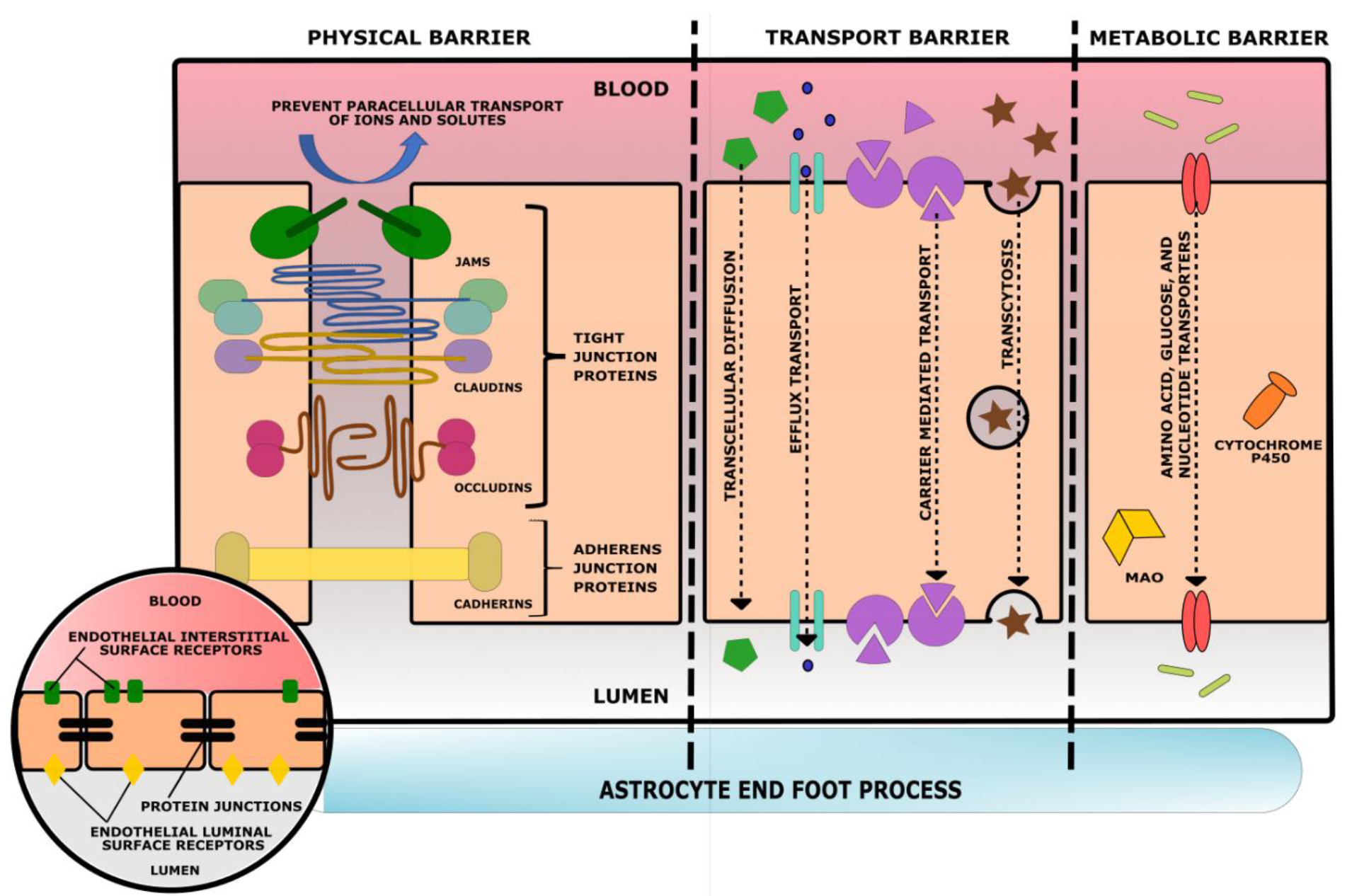 Bioengineering 09 00612 g036