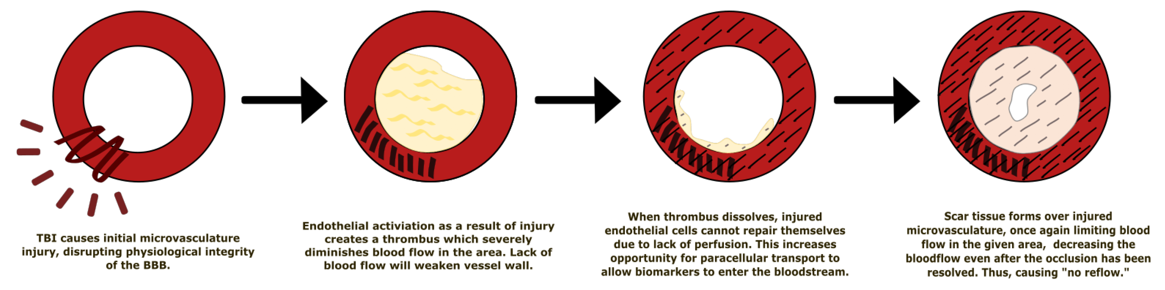 Bioengineering 09 00612 g037