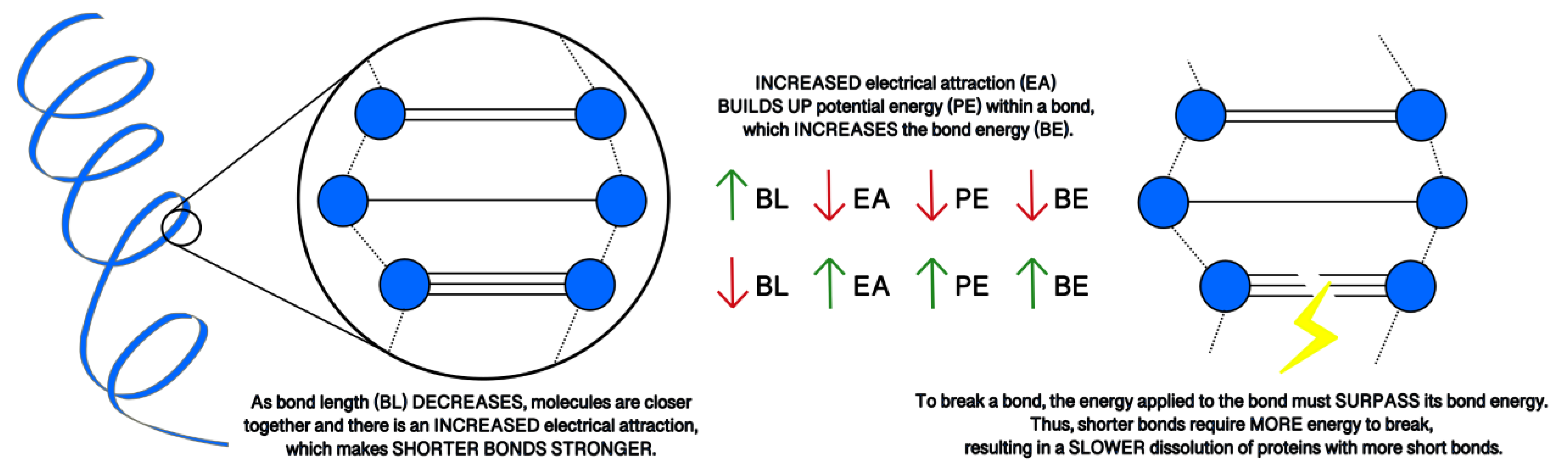 Bioengineering 09 00612 g045