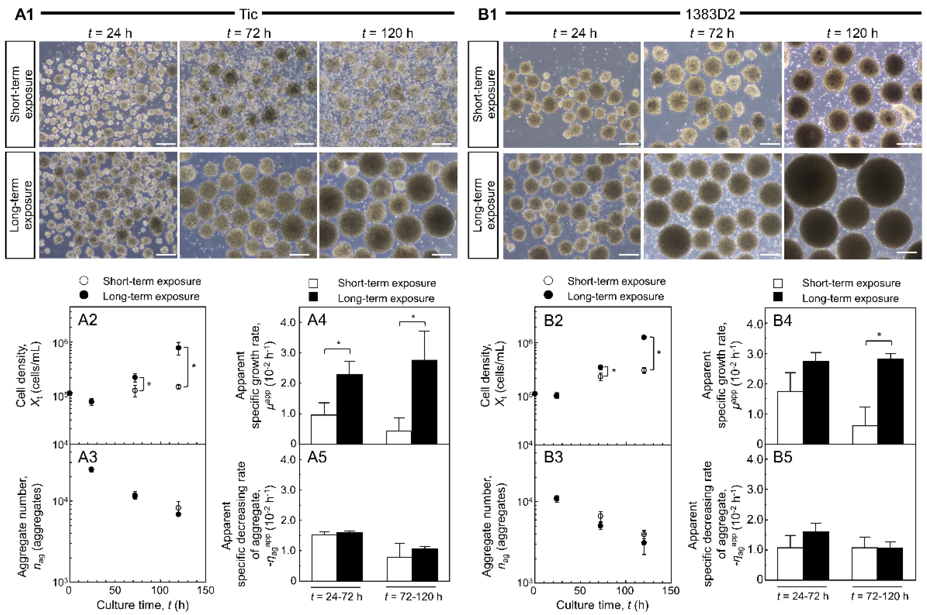 Bioengineering 09 00613 g001