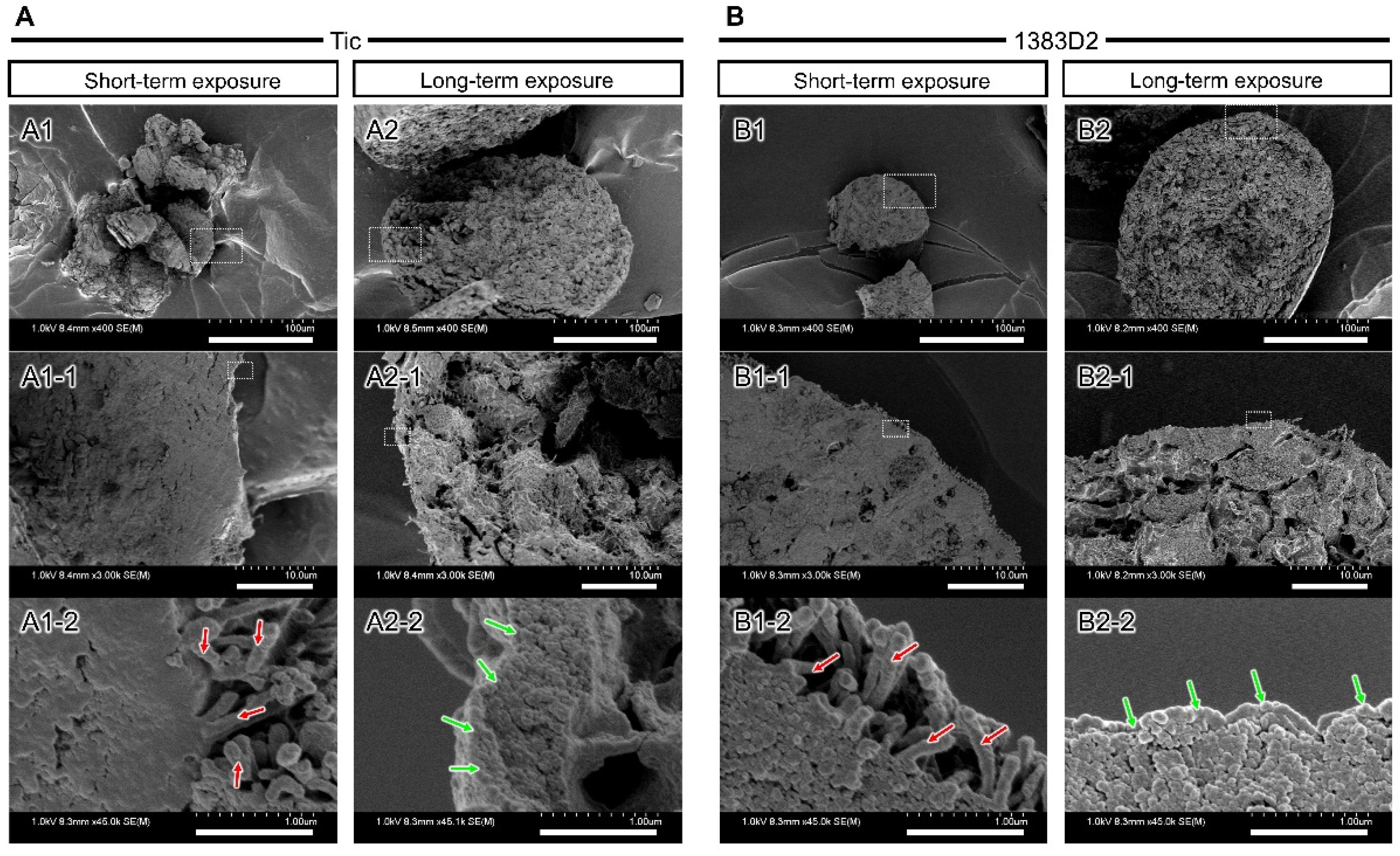 Bioengineering 09 00613 g006