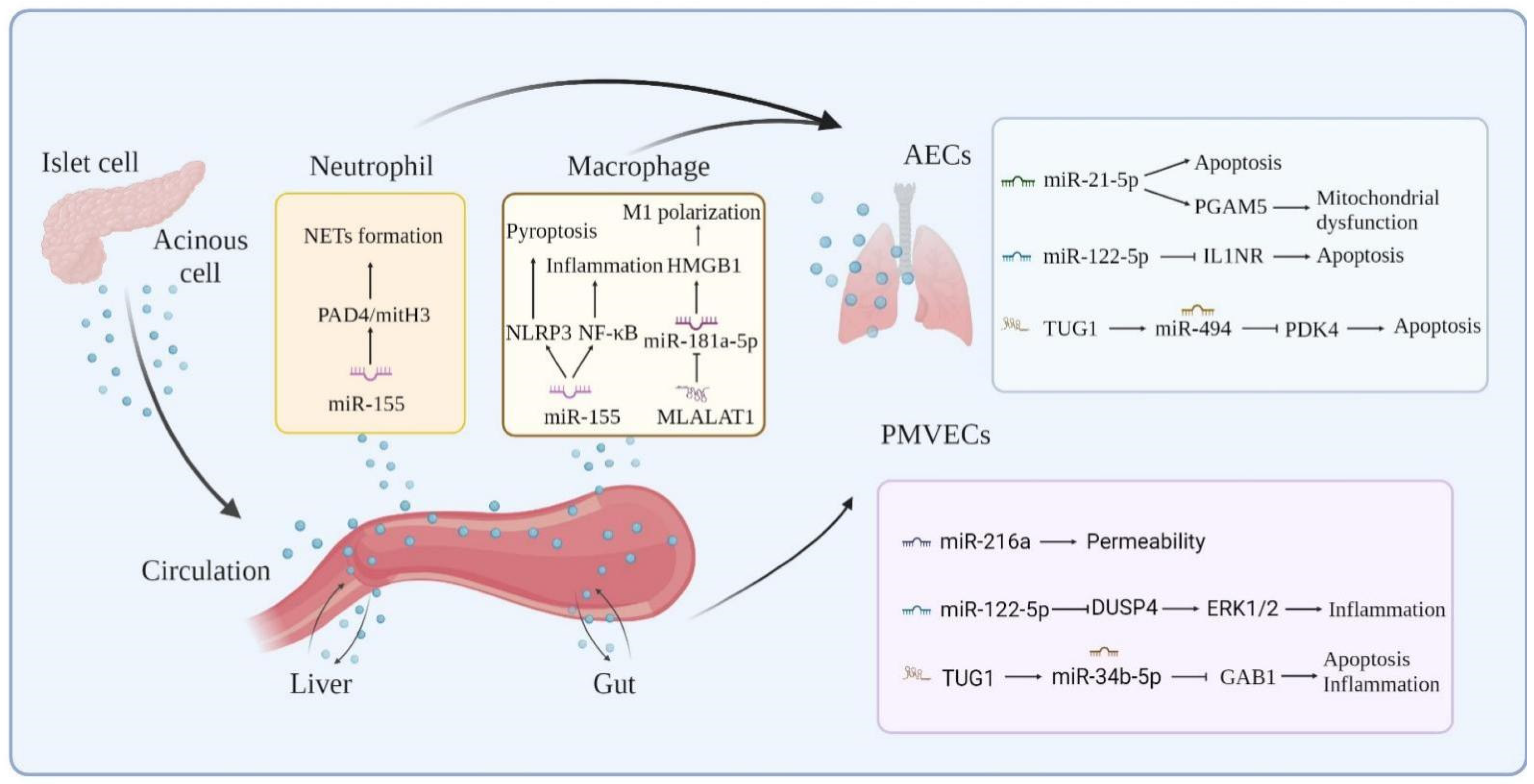 Bioengineering 09 00615 g002