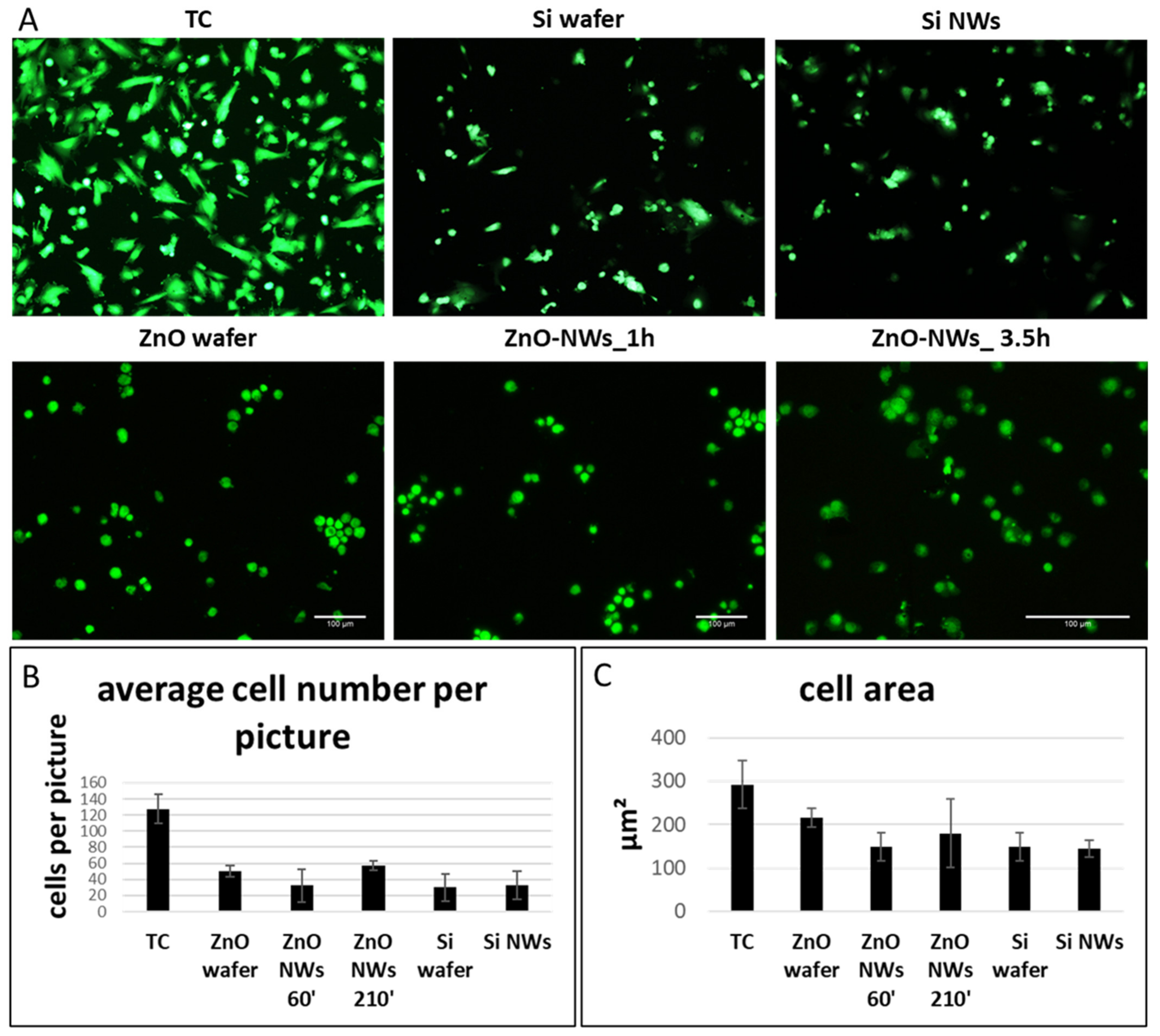 Bioengineering 09 00621 g004 Bioengineering 09 00621 g004