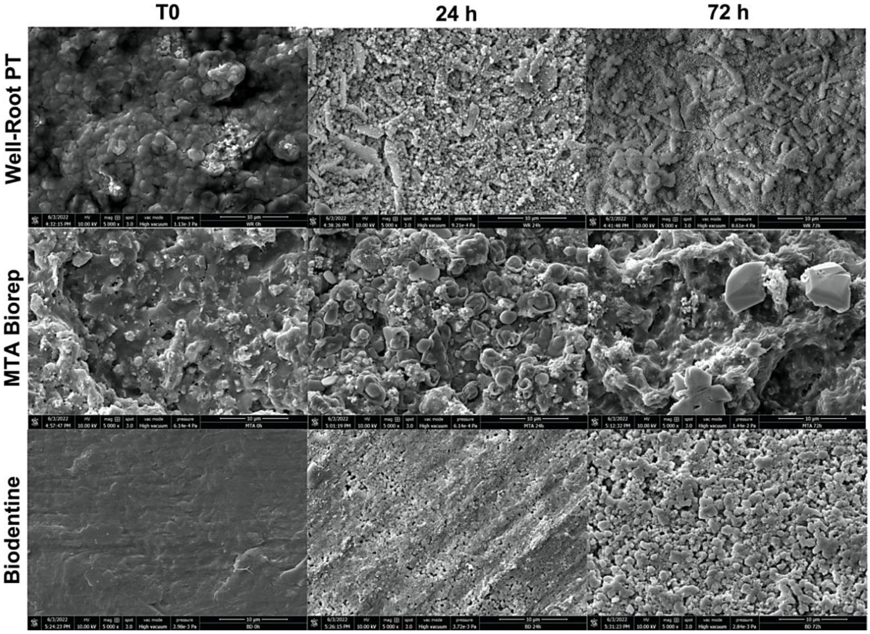 Bioengineering 09 00624 g003 Bioengineering 09 00624 g003