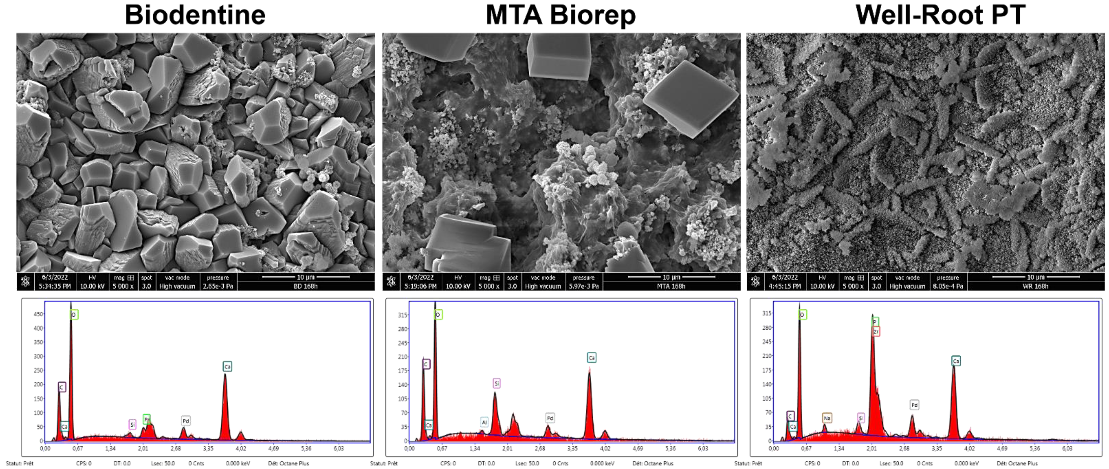 Bioengineering 09 00624 g004 Bioengineering 09 00624 g004