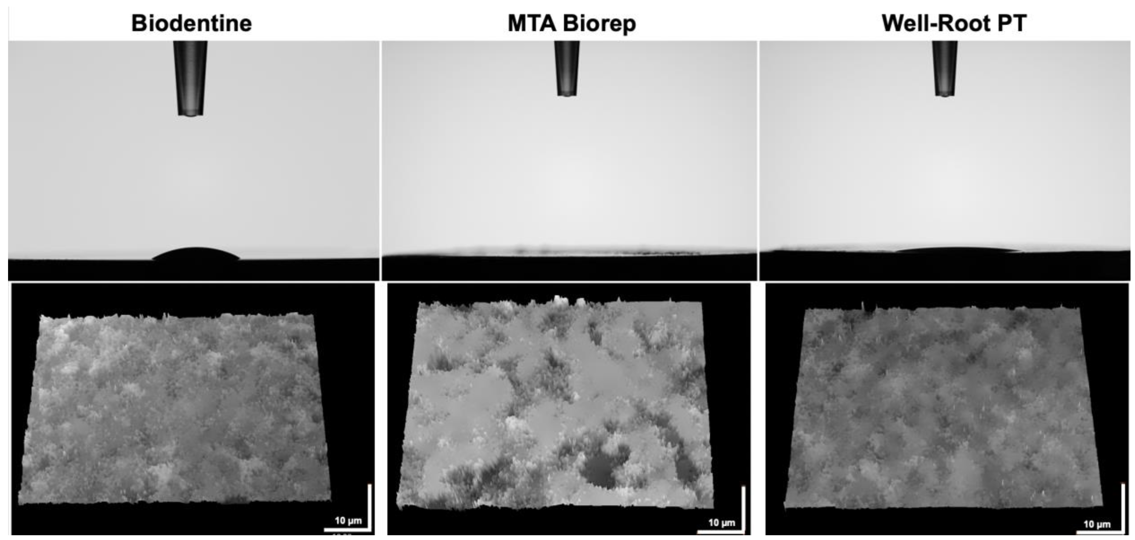 Bioengineering 09 00624 g005 Bioengineering 09 00624 g005