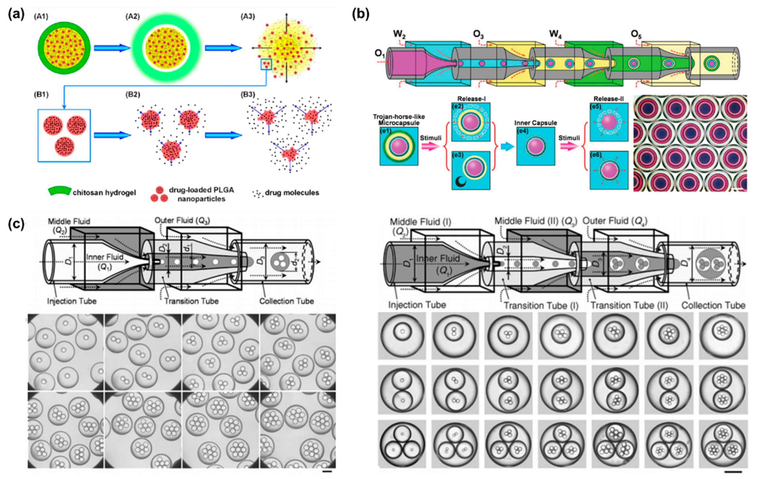 Bioengineering 09 00625 g004 Bioengineering 09 00625 g004