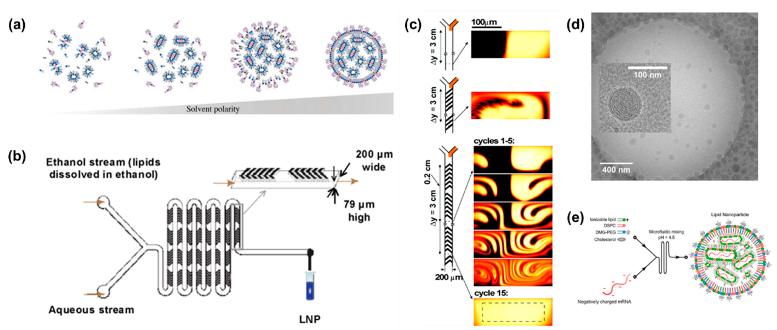 Bioengineering 09 00625 g005 Bioengineering 09 00625 g005