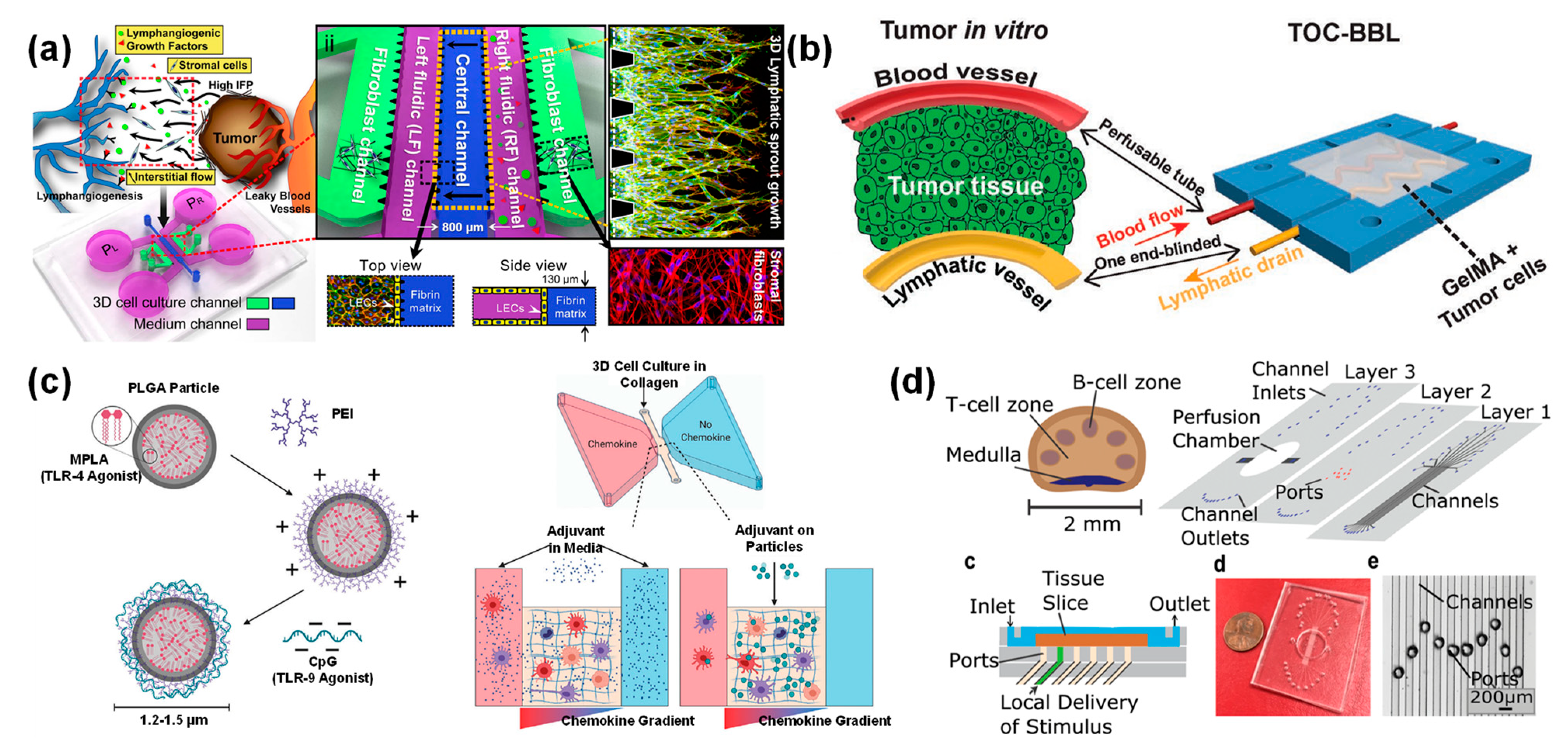 Bioengineering 09 00625 g007 Bioengineering 09 00625 g007