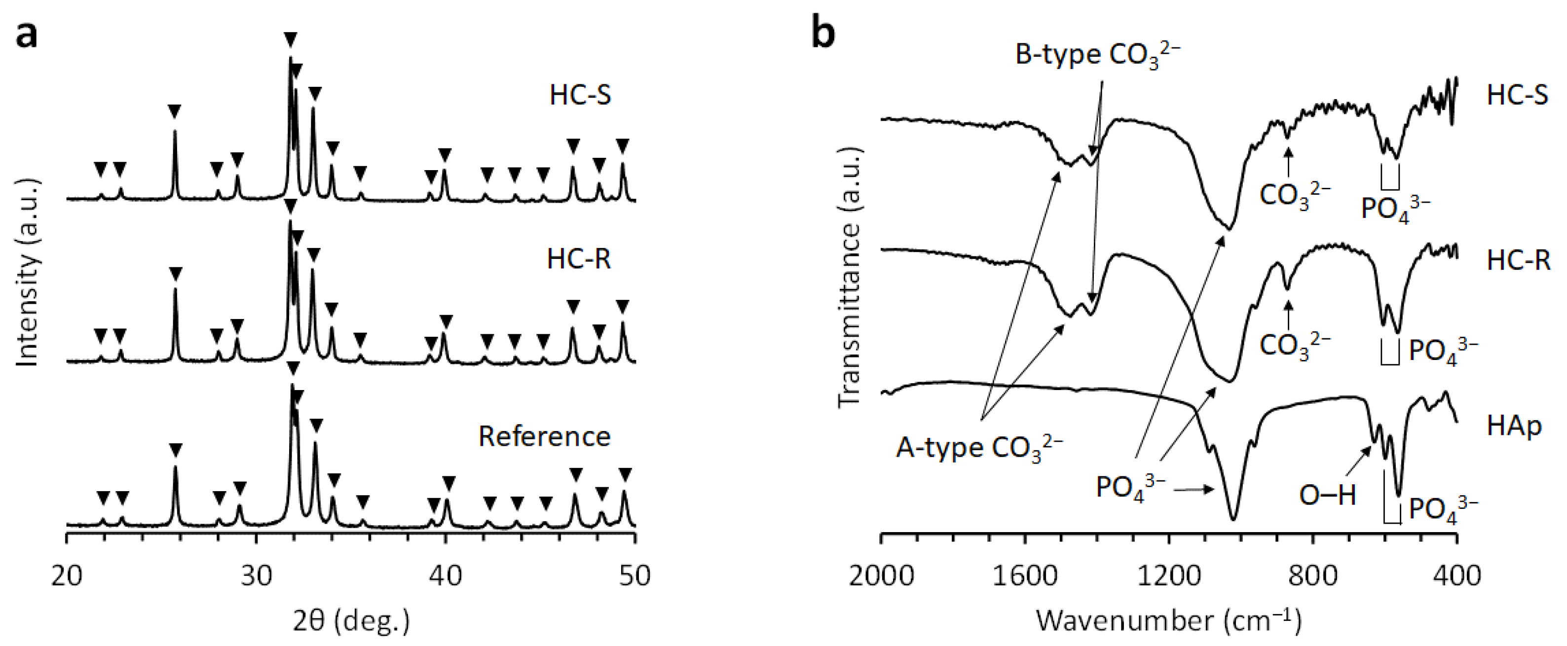 Bioengineering 09 00627 g002 Bioengineering 09 00627 g002
