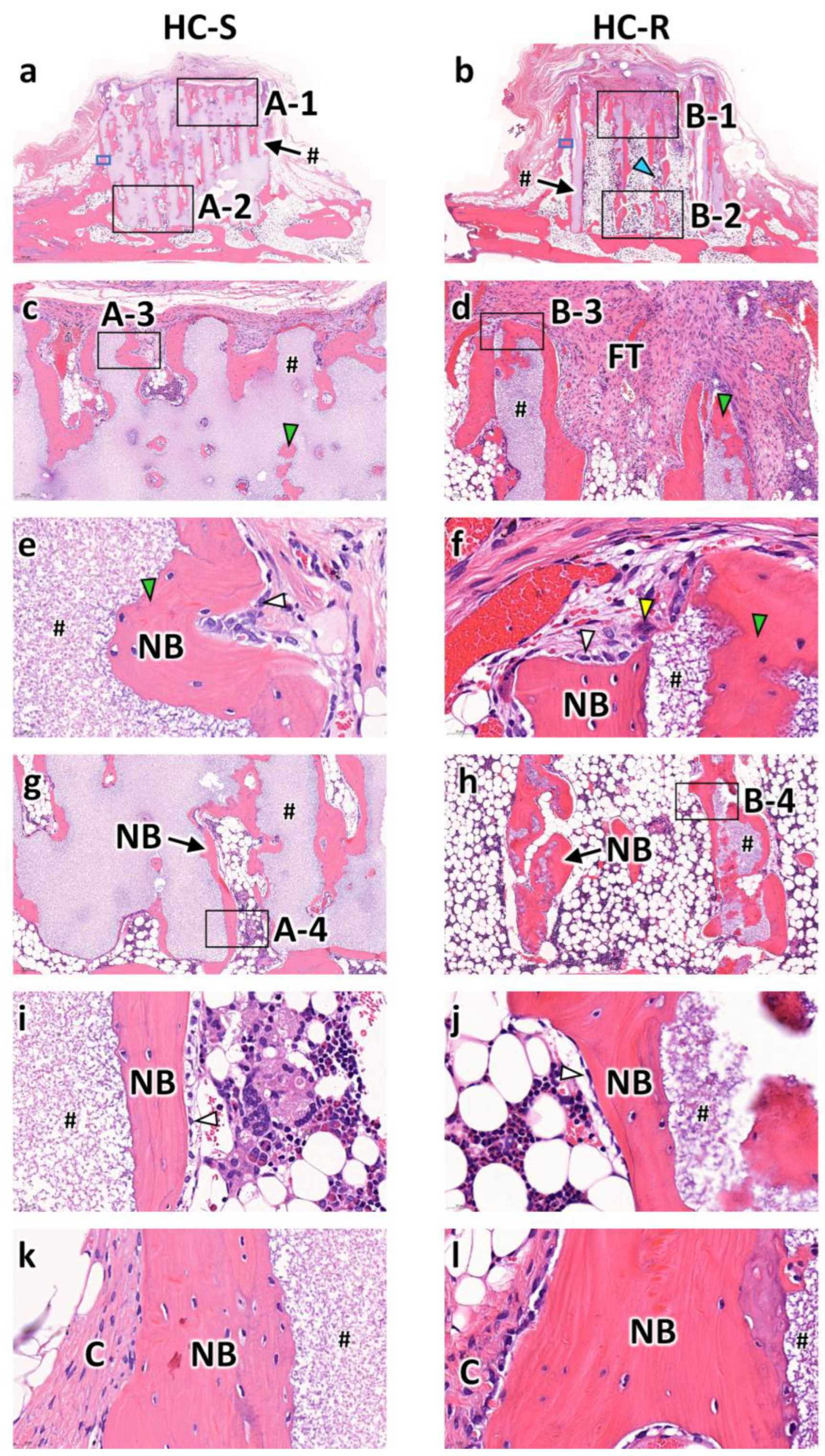 Bioengineering 09 00627 g004 Bioengineering 09 00627 g004