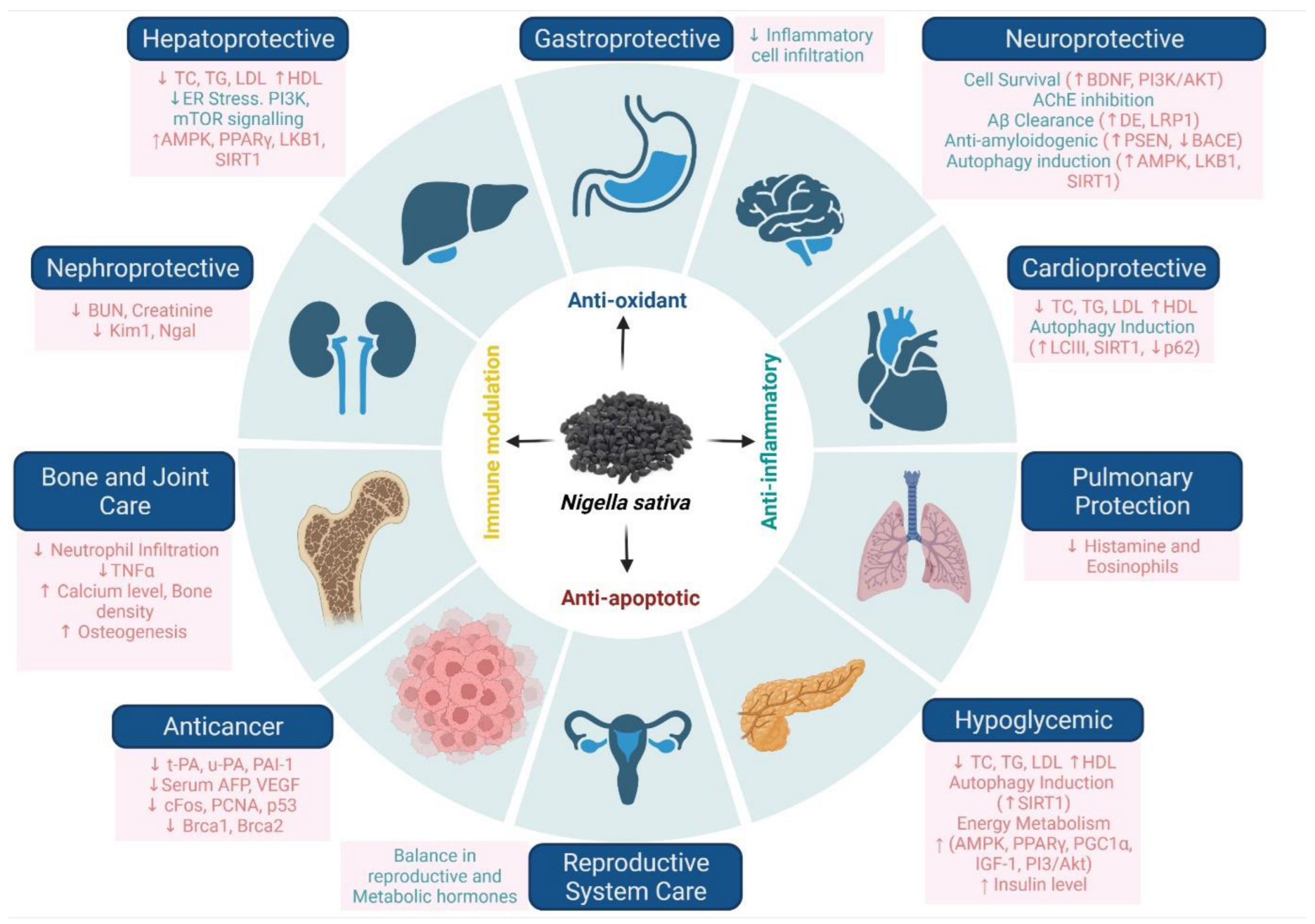 Bioengineering 09 00631 g003