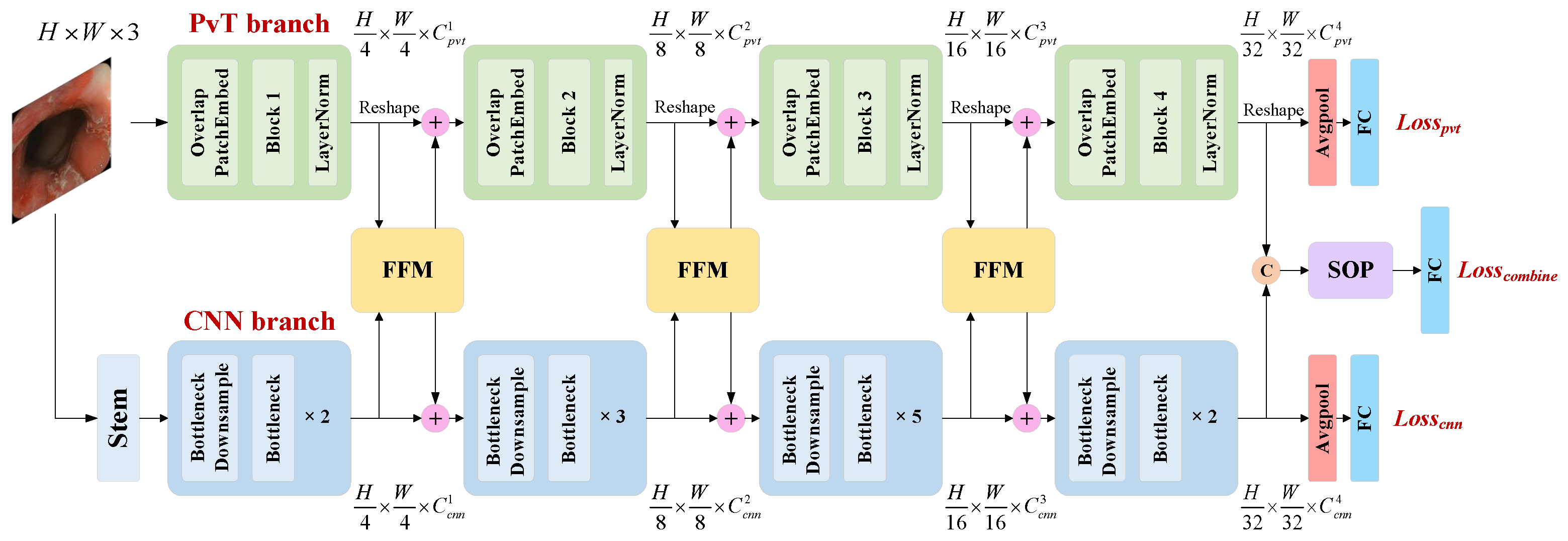 Bioengineering 09 00632 g002