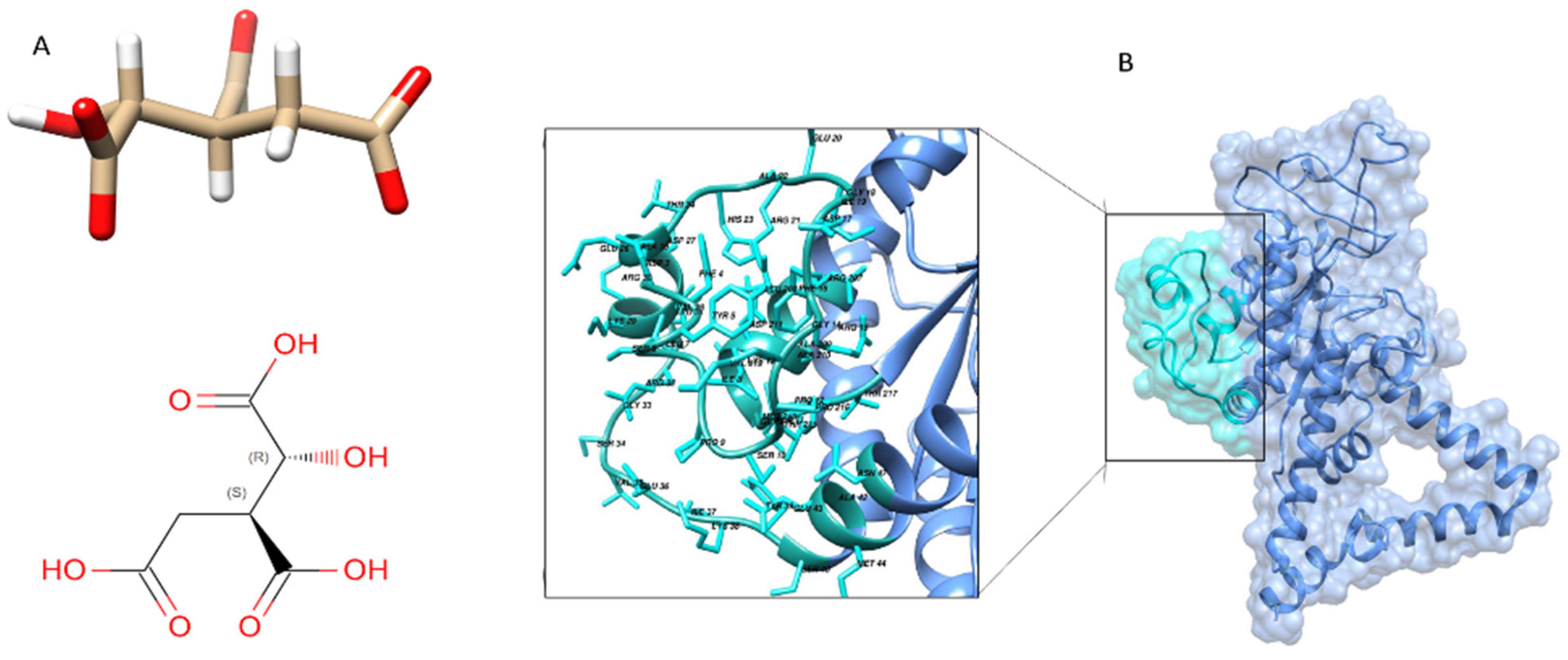 Bioengineering 09 00633 g005