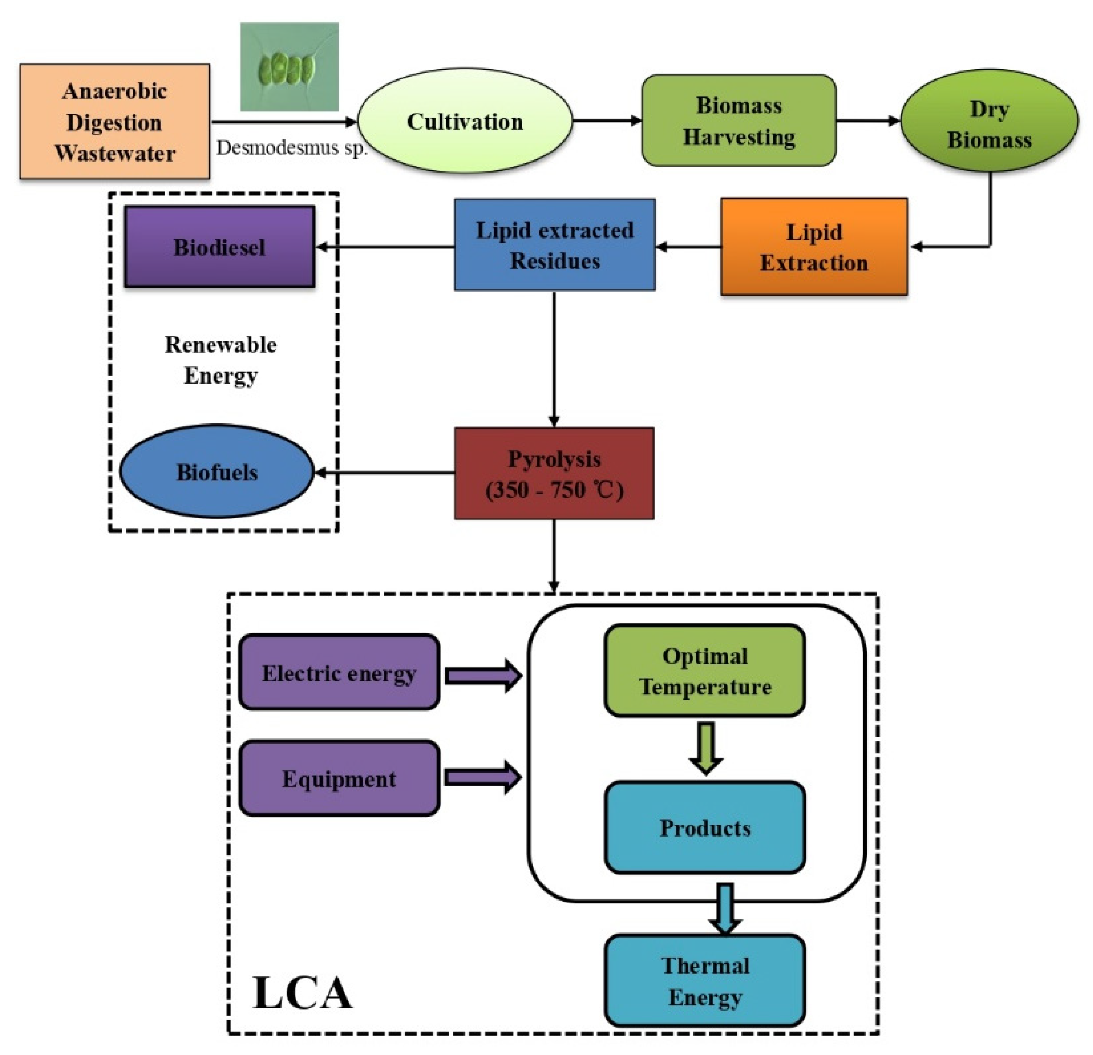 Bioengineering 09 00637 g001
